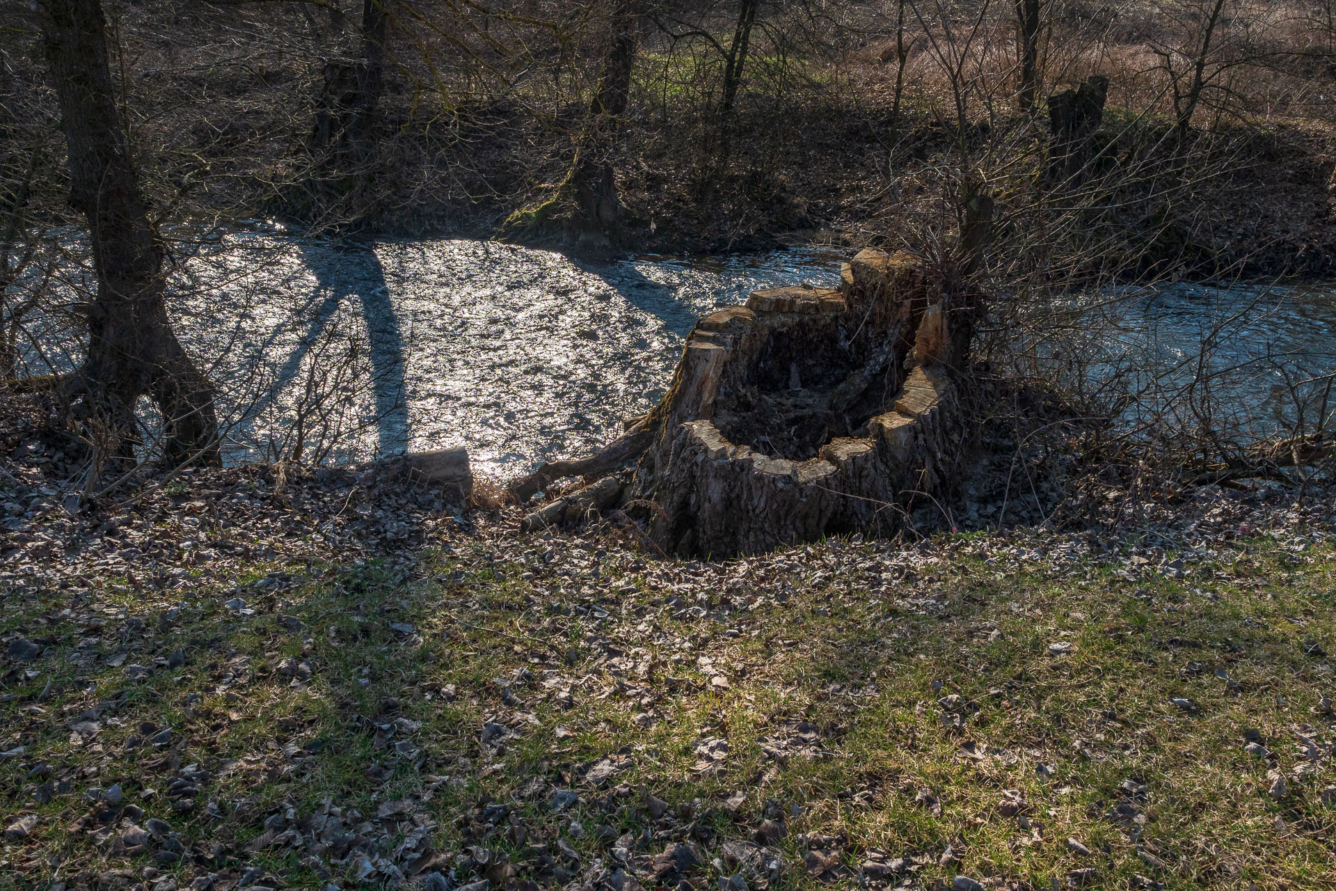 Prielom Muráňa a Pamätný dub z Bretky (Licinská pahorkatina)