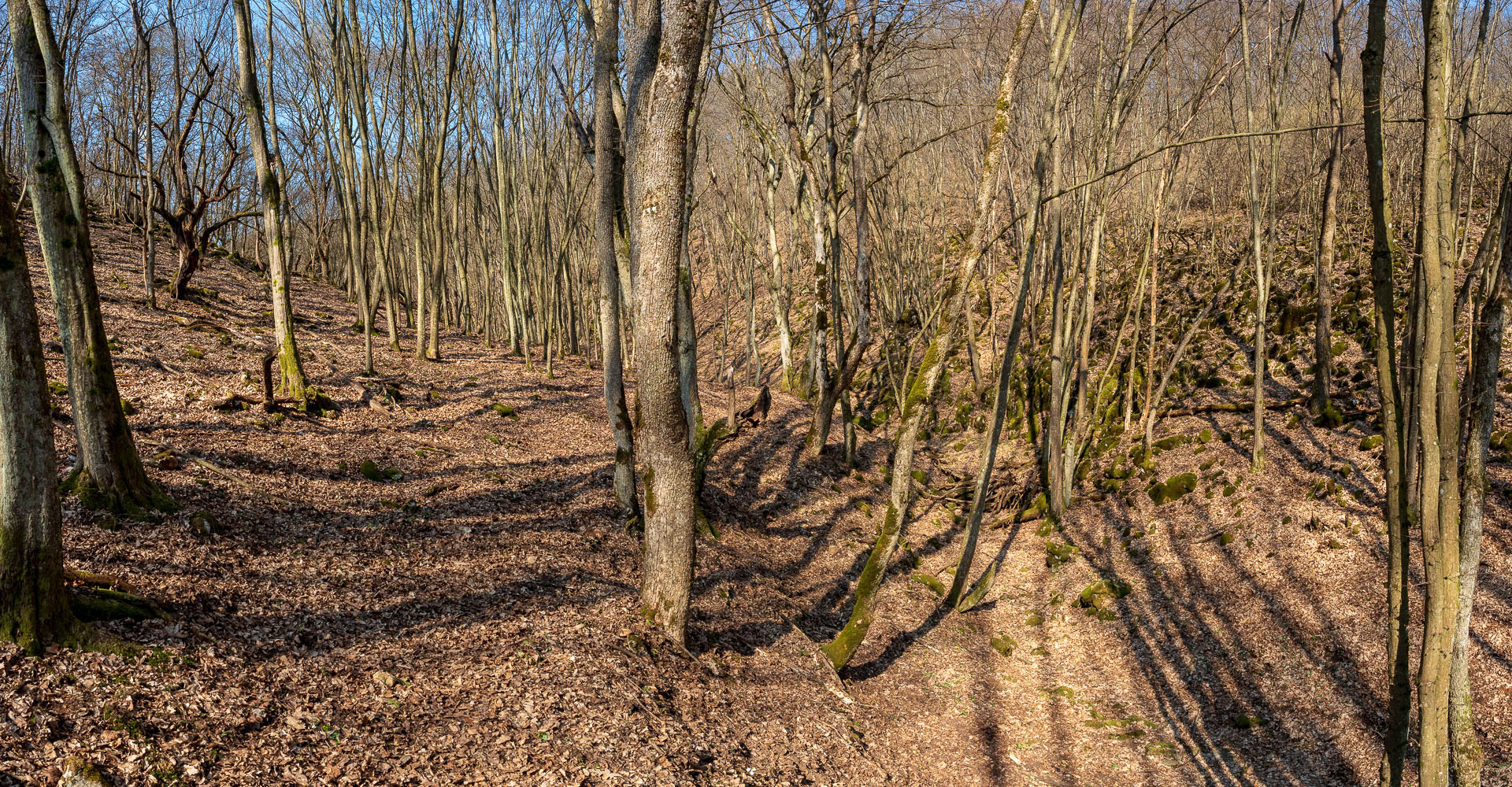 Prielom Muráňa a Pamätný dub z Bretky (Licinská pahorkatina)