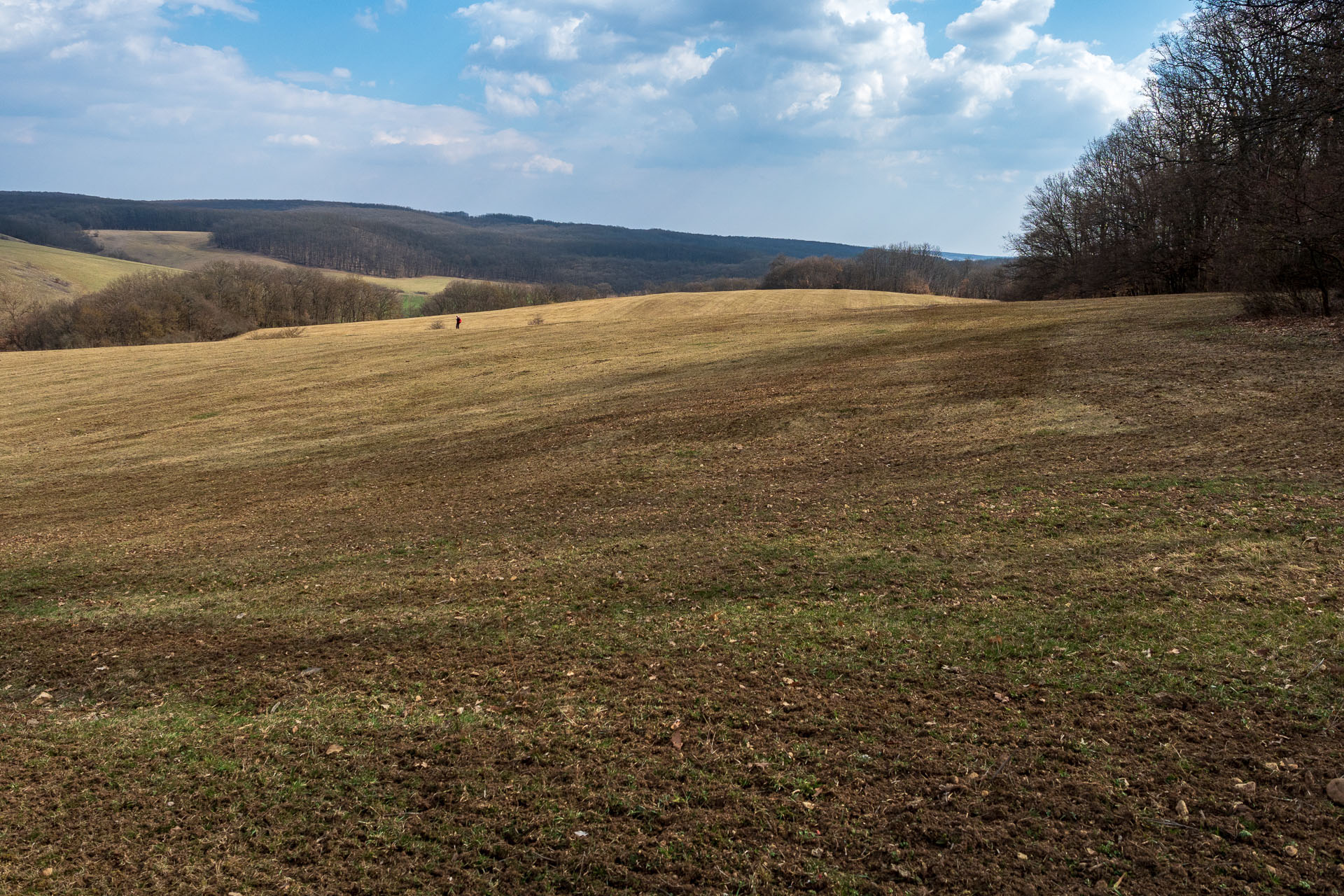 Prielom Muráňa a Pamätný dub z Bretky (Licinská pahorkatina)