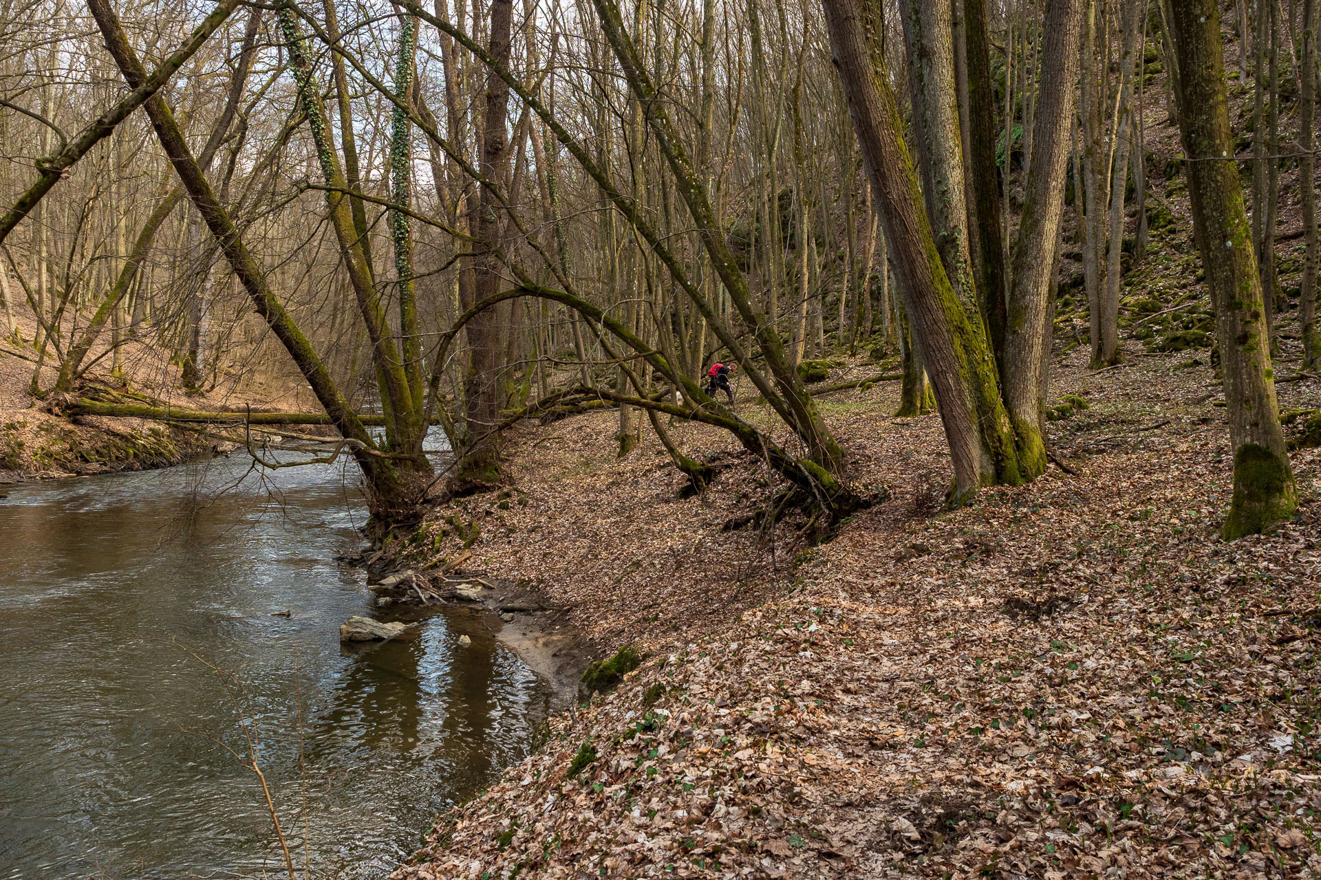 Prielom Muráňa a Pamätný dub z Bretky (Licinská pahorkatina)