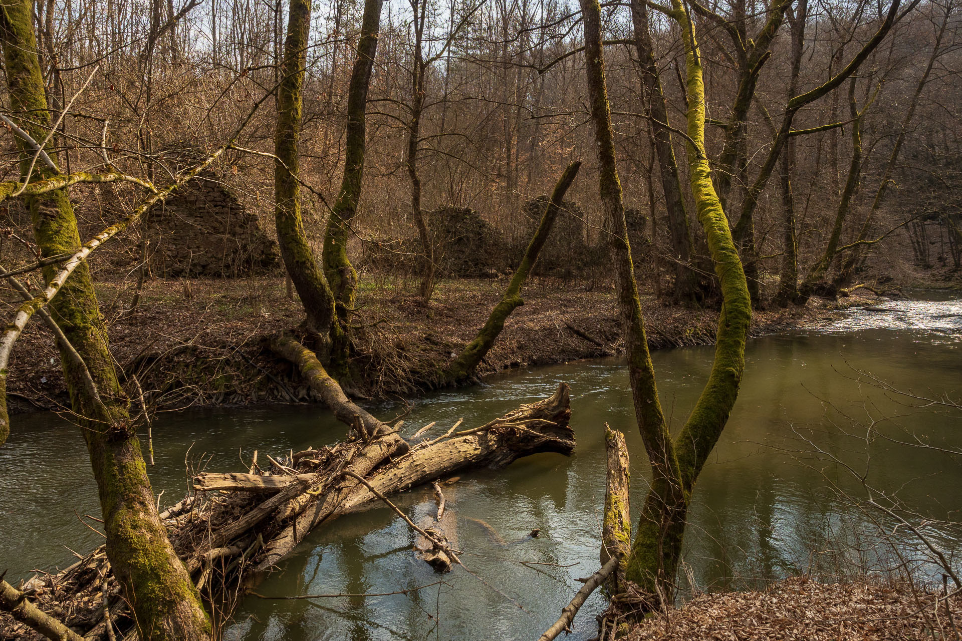 Prielom Muráňa a Pamätný dub z Bretky (Licinská pahorkatina)