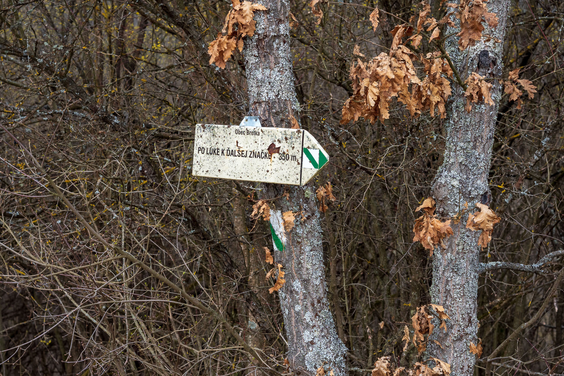 Prielom Muráňa a Pamätný dub z Bretky (Licinská pahorkatina)