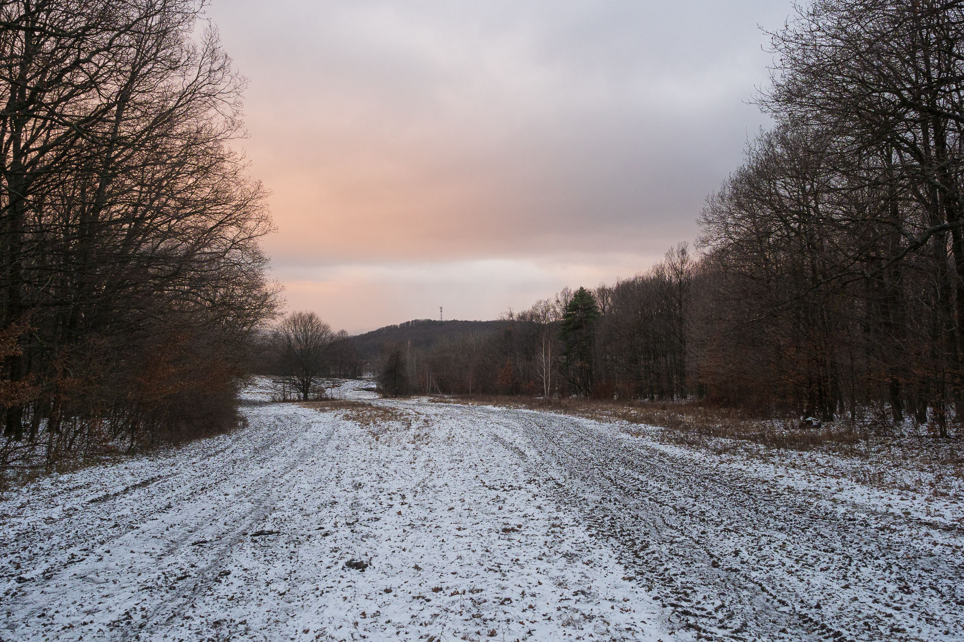 Rankovské skaly od Herlian (Slanské vrchy)