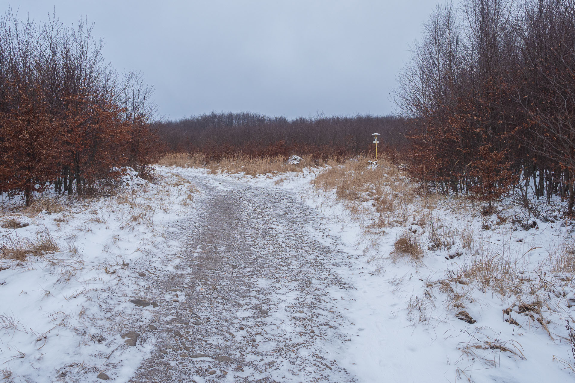 Rankovské skaly od Herlian (Slanské vrchy)