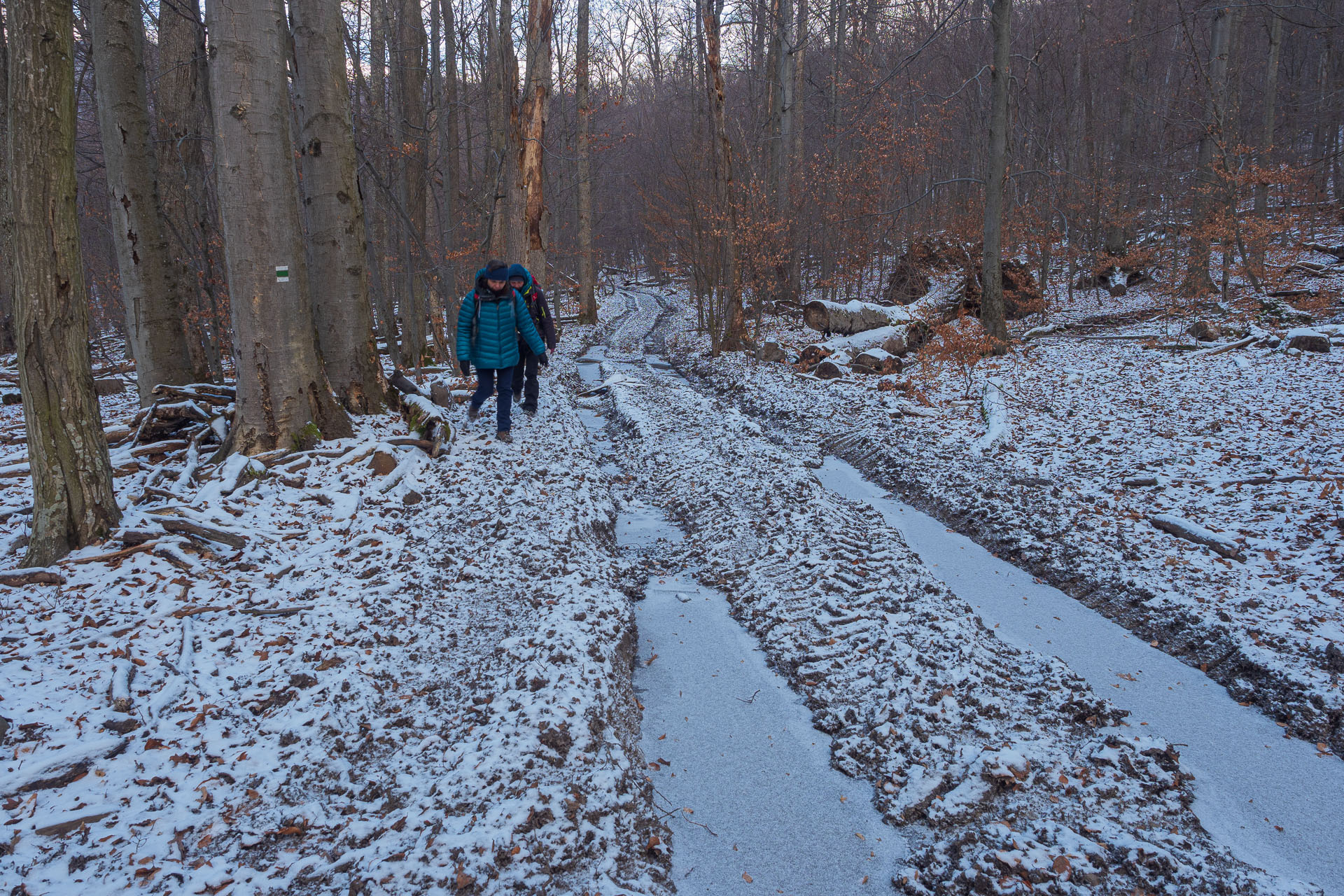 Rankovské skaly od Herlian (Slanské vrchy)