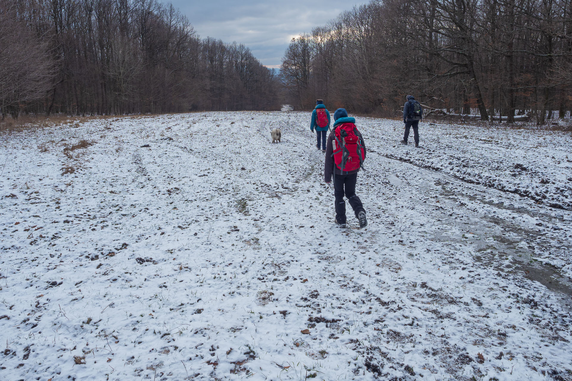 Rankovské skaly od Herlian (Slanské vrchy)