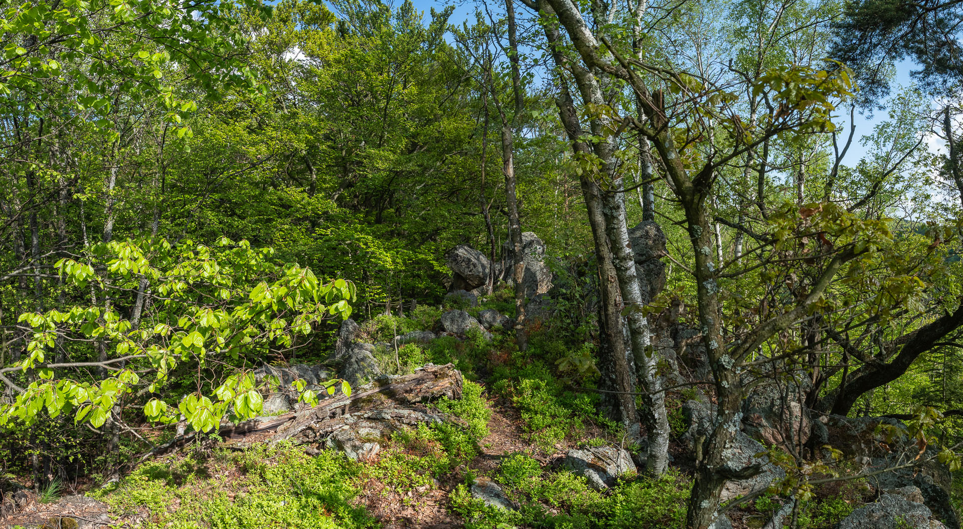 Rozsypaná skala z Richnavy (Čierna hora)