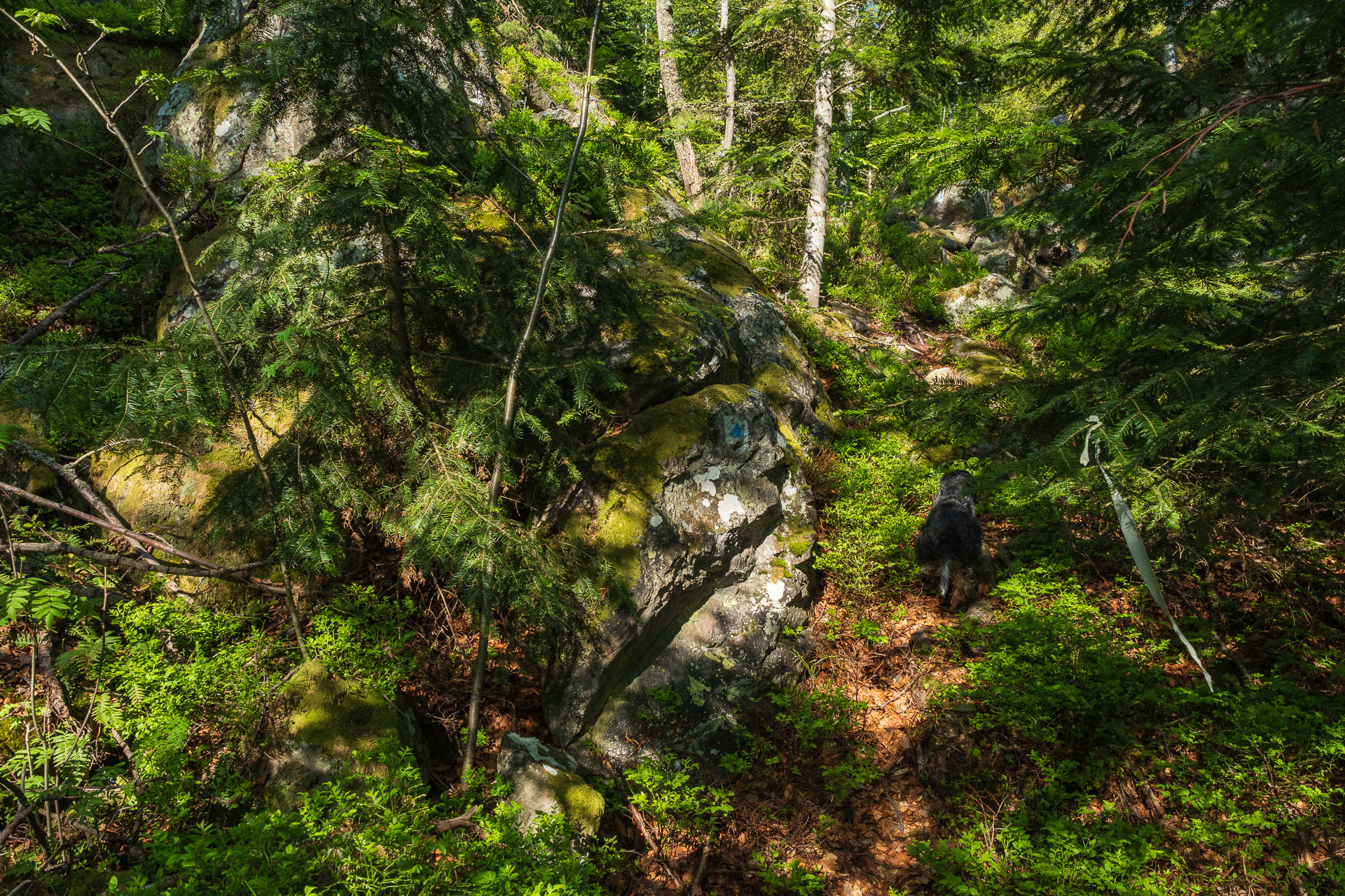 Rozsypaná skala z Richnavy (Čierna hora)