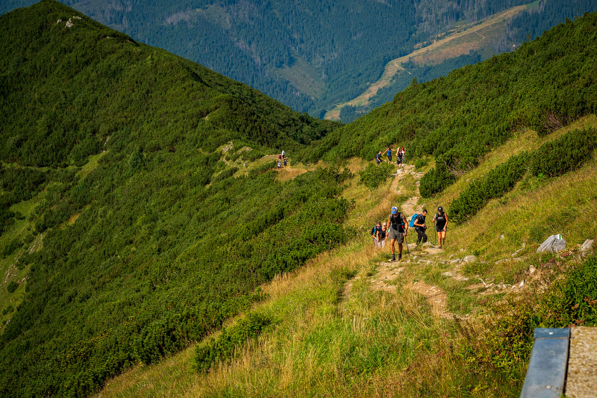 Rovná hoľa z Chaty gen. M. R. Štefánika (Nízke Tatry)