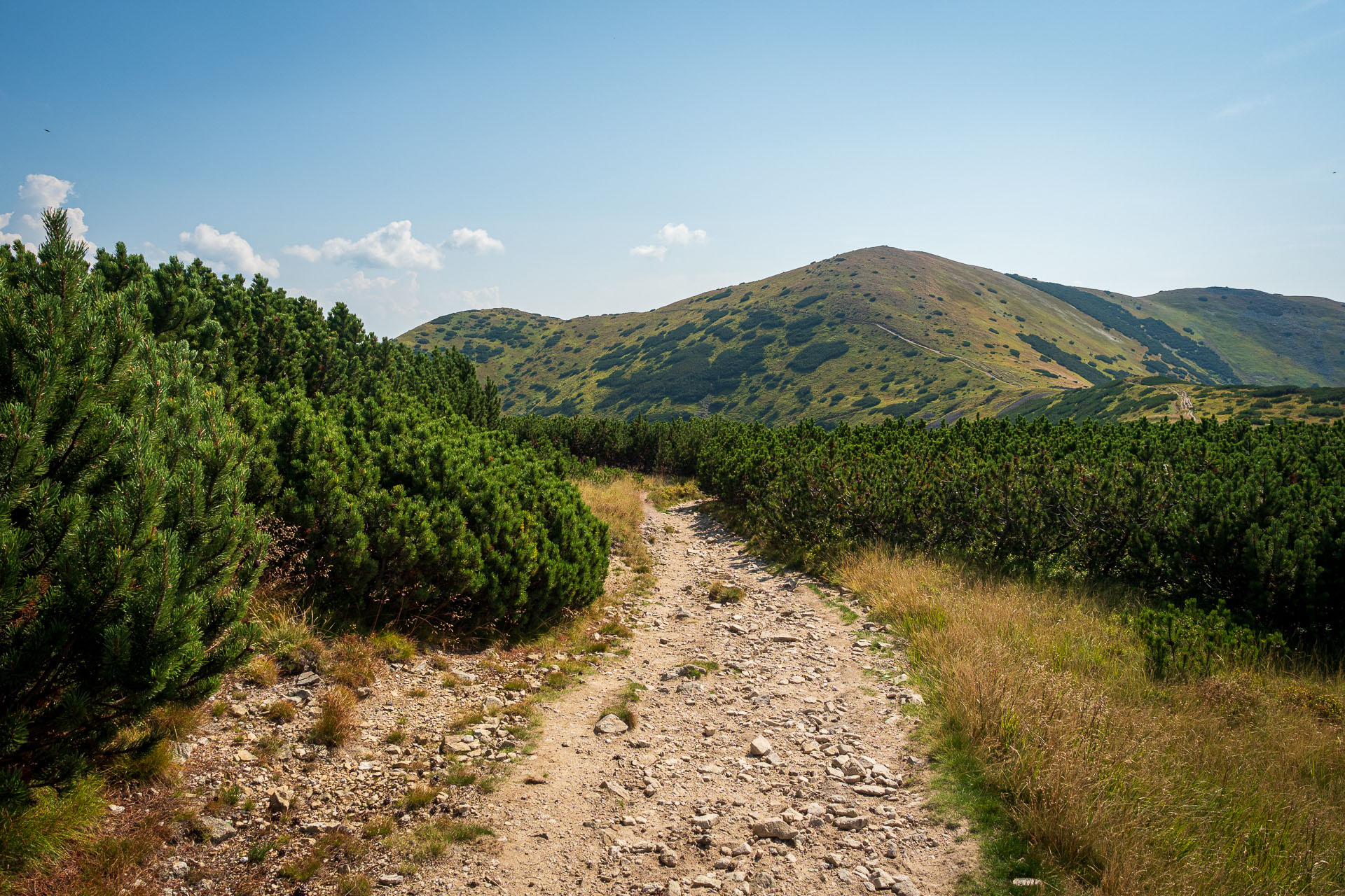 Rovná hoľa z Chaty gen. M. R. Štefánika (Nízke Tatry)