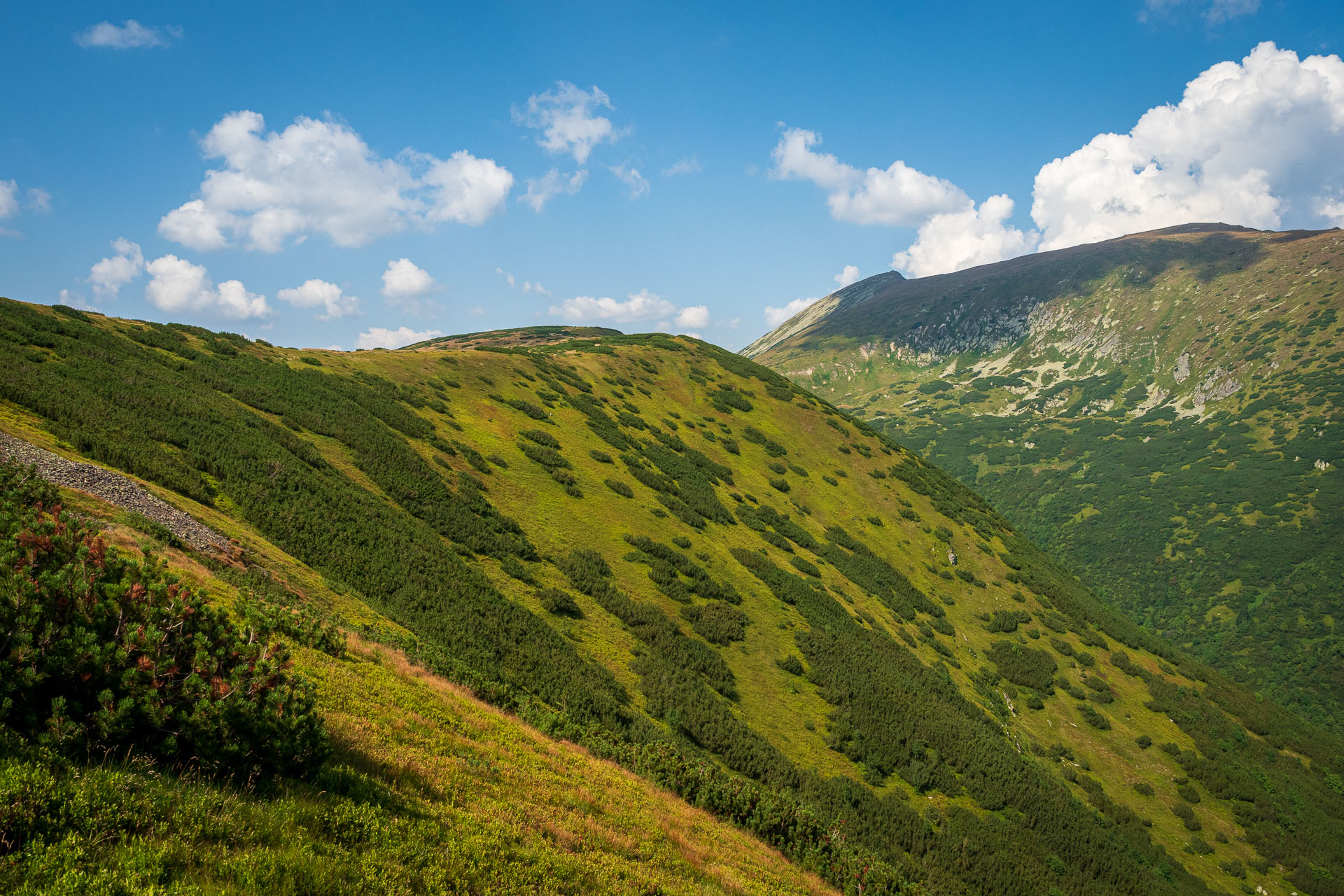 Rovná hoľa z Chaty gen. M. R. Štefánika (Nízke Tatry)