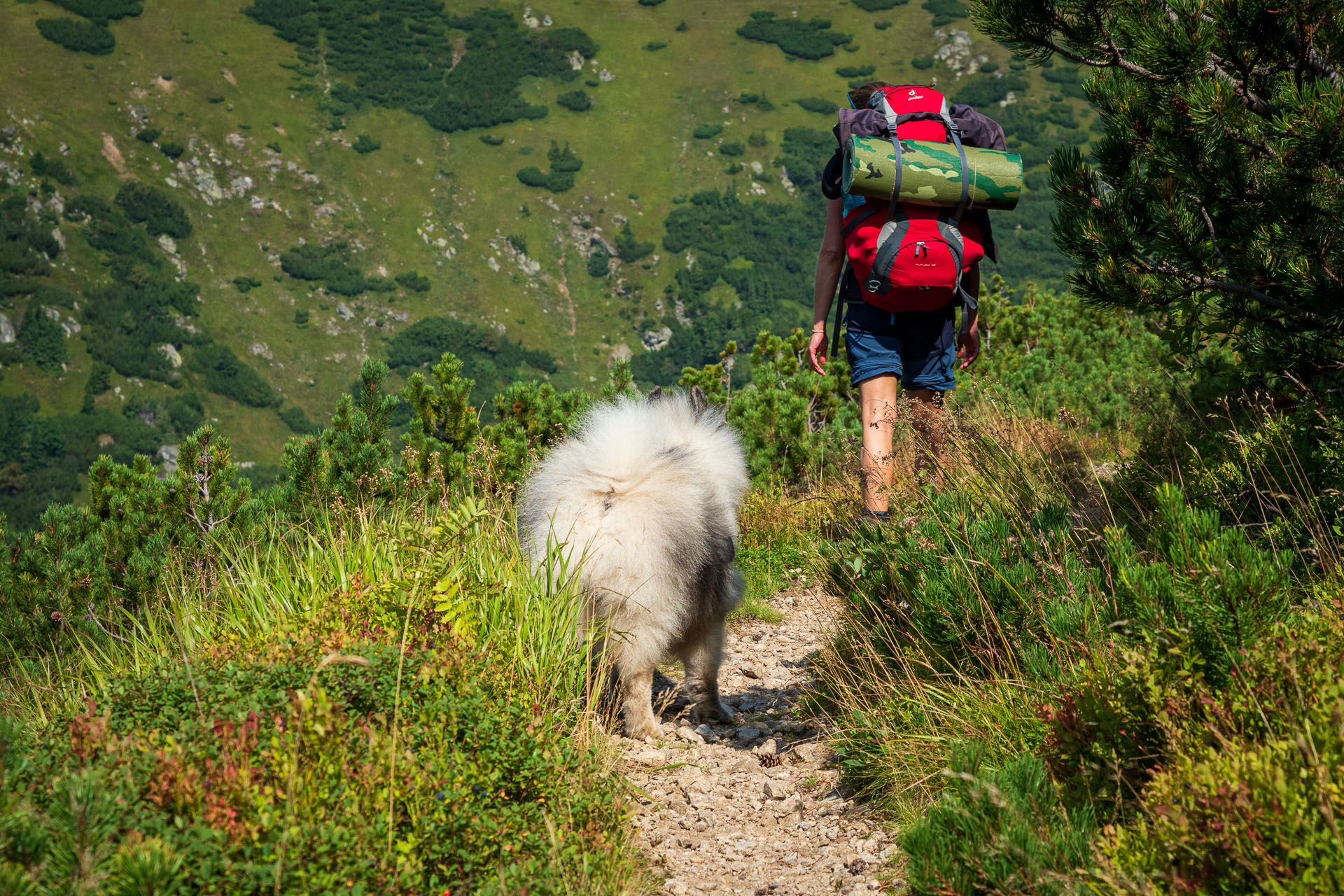 Rovná hoľa z Chaty gen. M. R. Štefánika (Nízke Tatry)