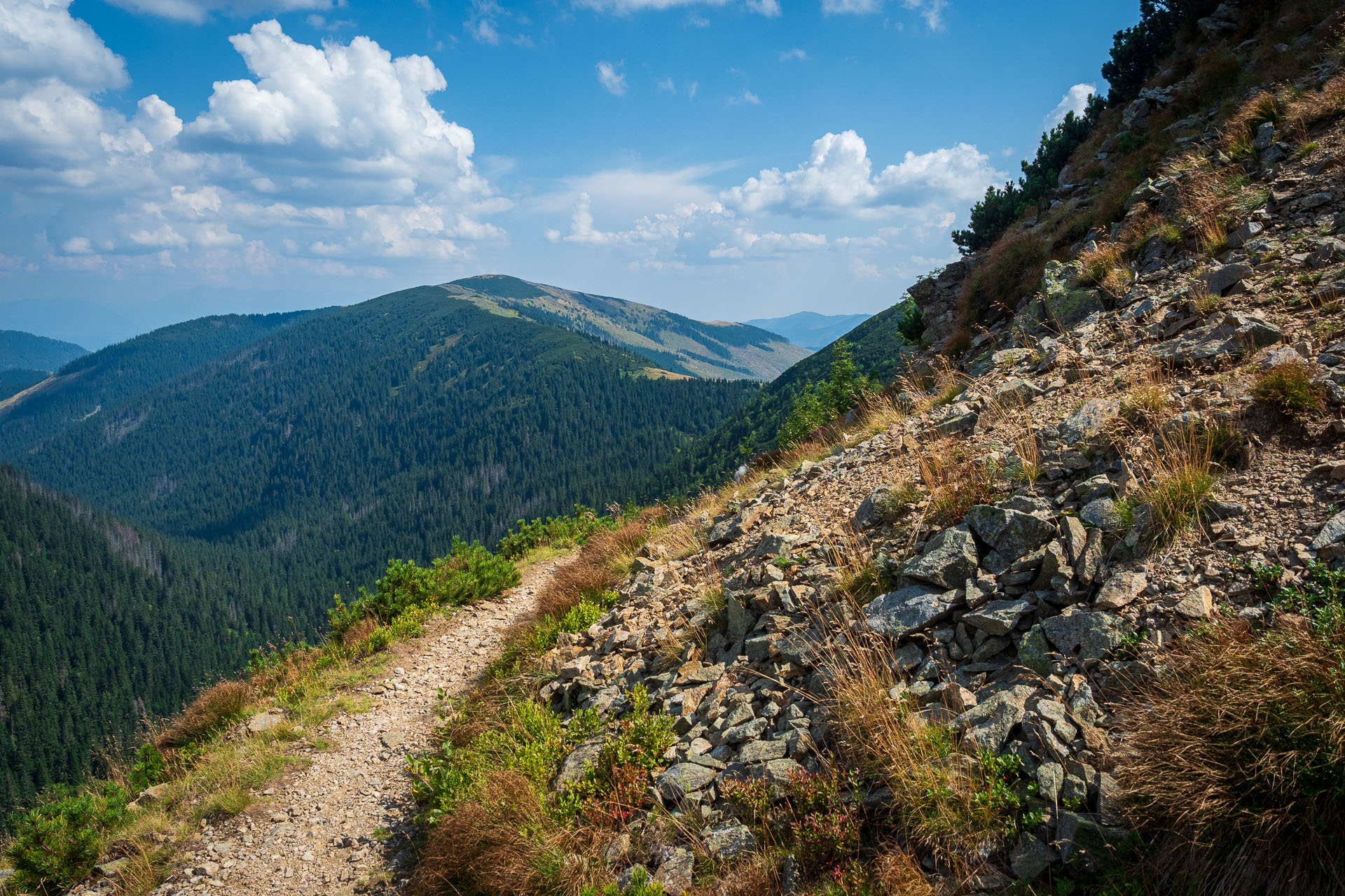 Rovná hoľa z Chaty gen. M. R. Štefánika (Nízke Tatry)