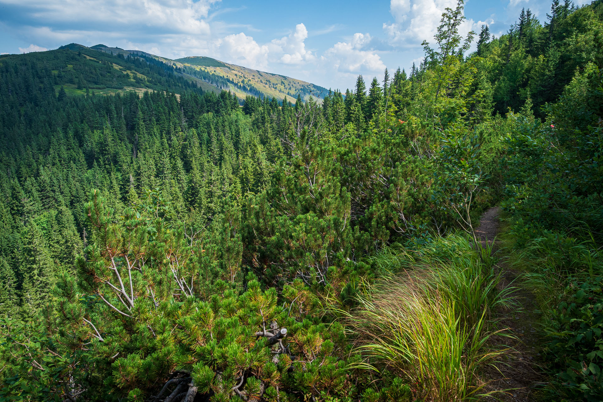 Rovná hoľa z Chaty gen. M. R. Štefánika (Nízke Tatry)