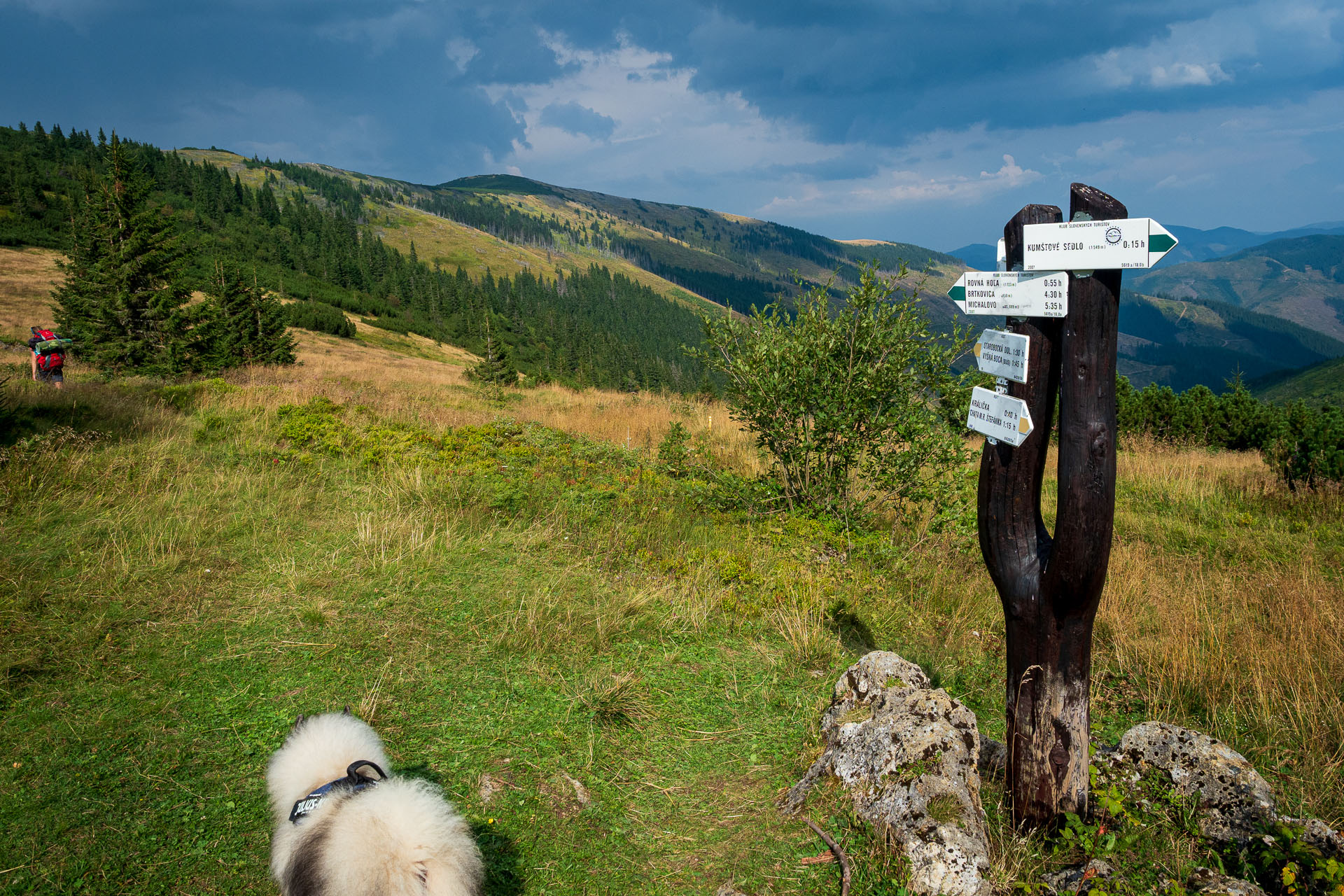 Rovná hoľa z Chaty gen. M. R. Štefánika (Nízke Tatry)