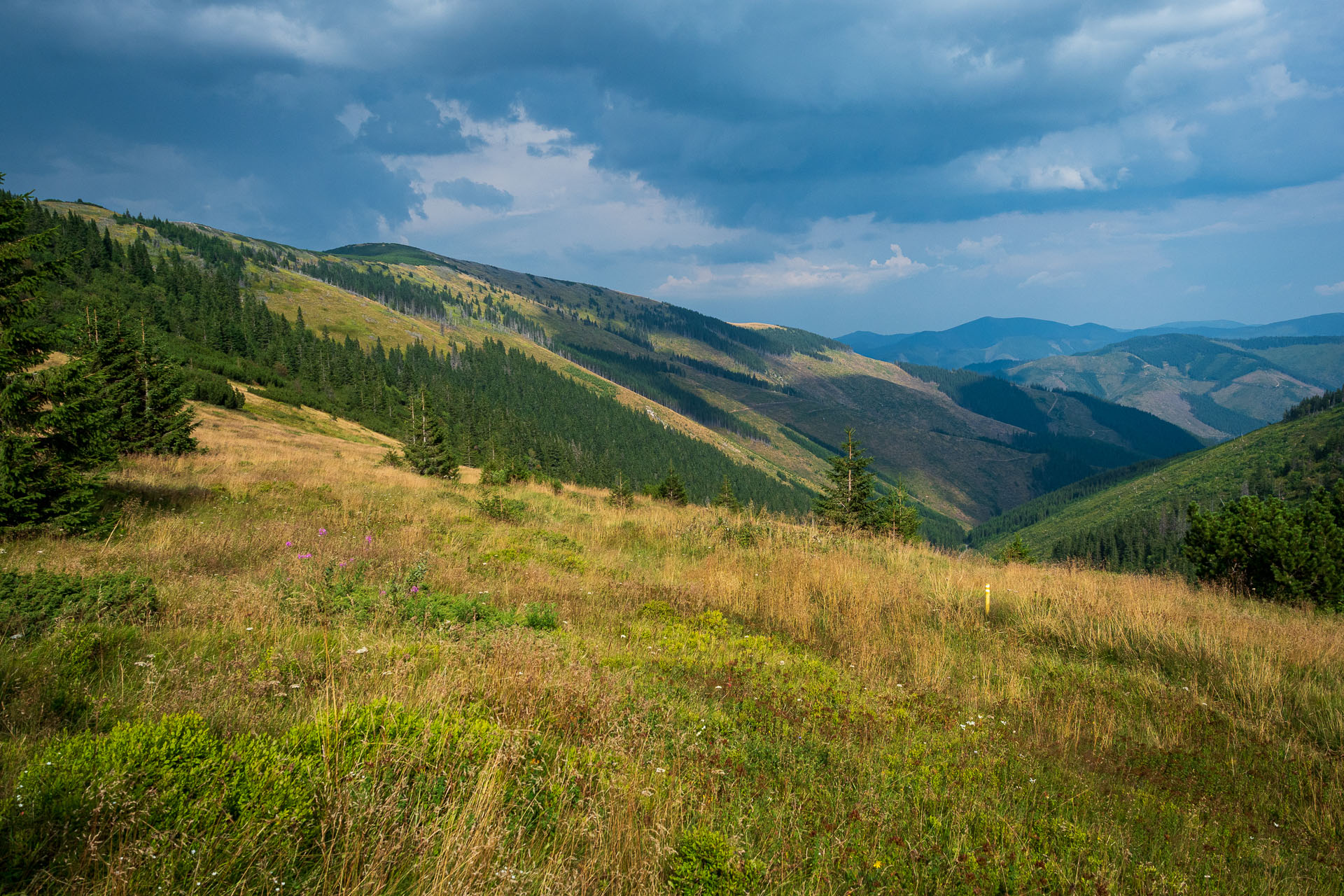 Rovná hoľa z Chaty gen. M. R. Štefánika (Nízke Tatry)