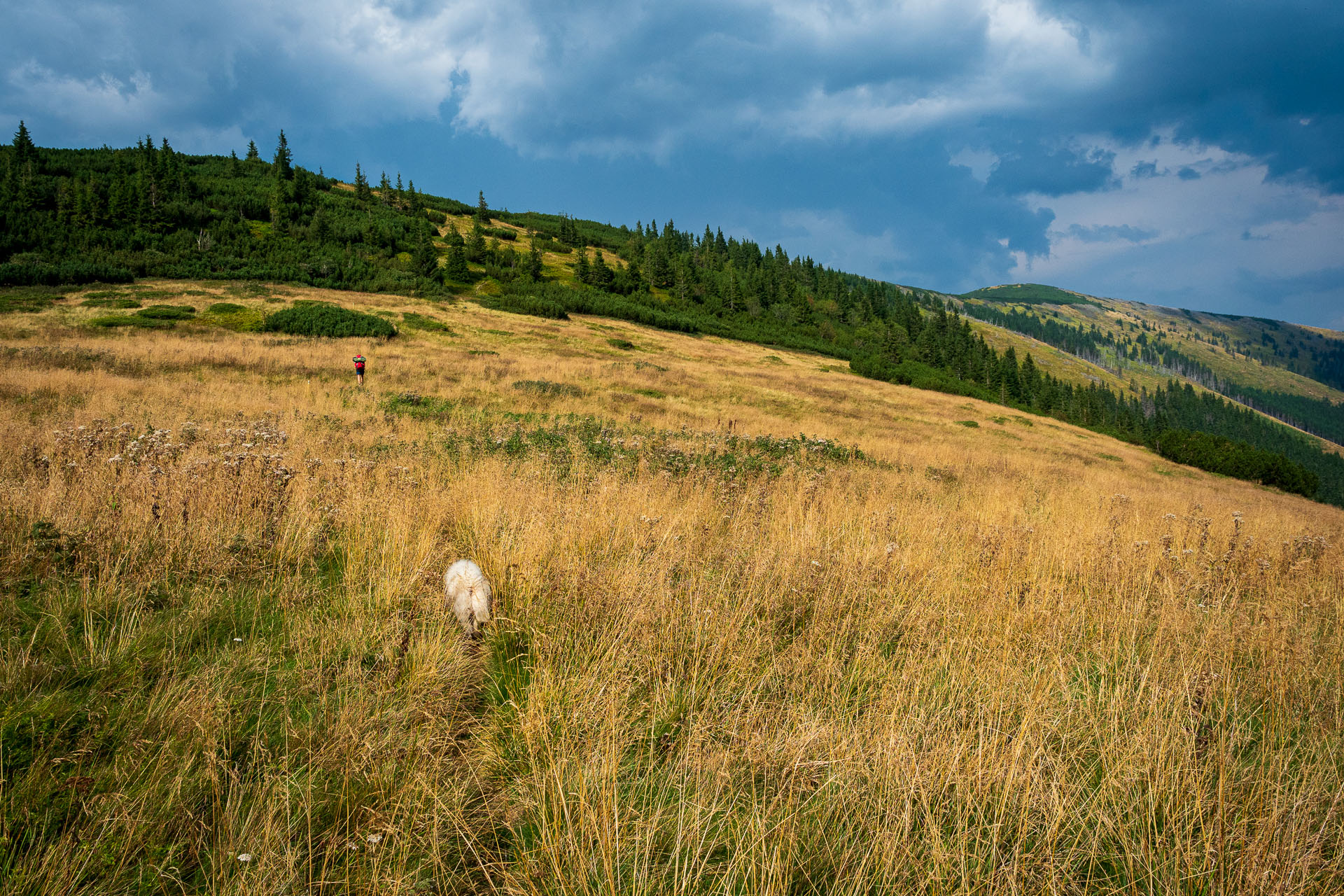 Rovná hoľa z Chaty gen. M. R. Štefánika (Nízke Tatry)