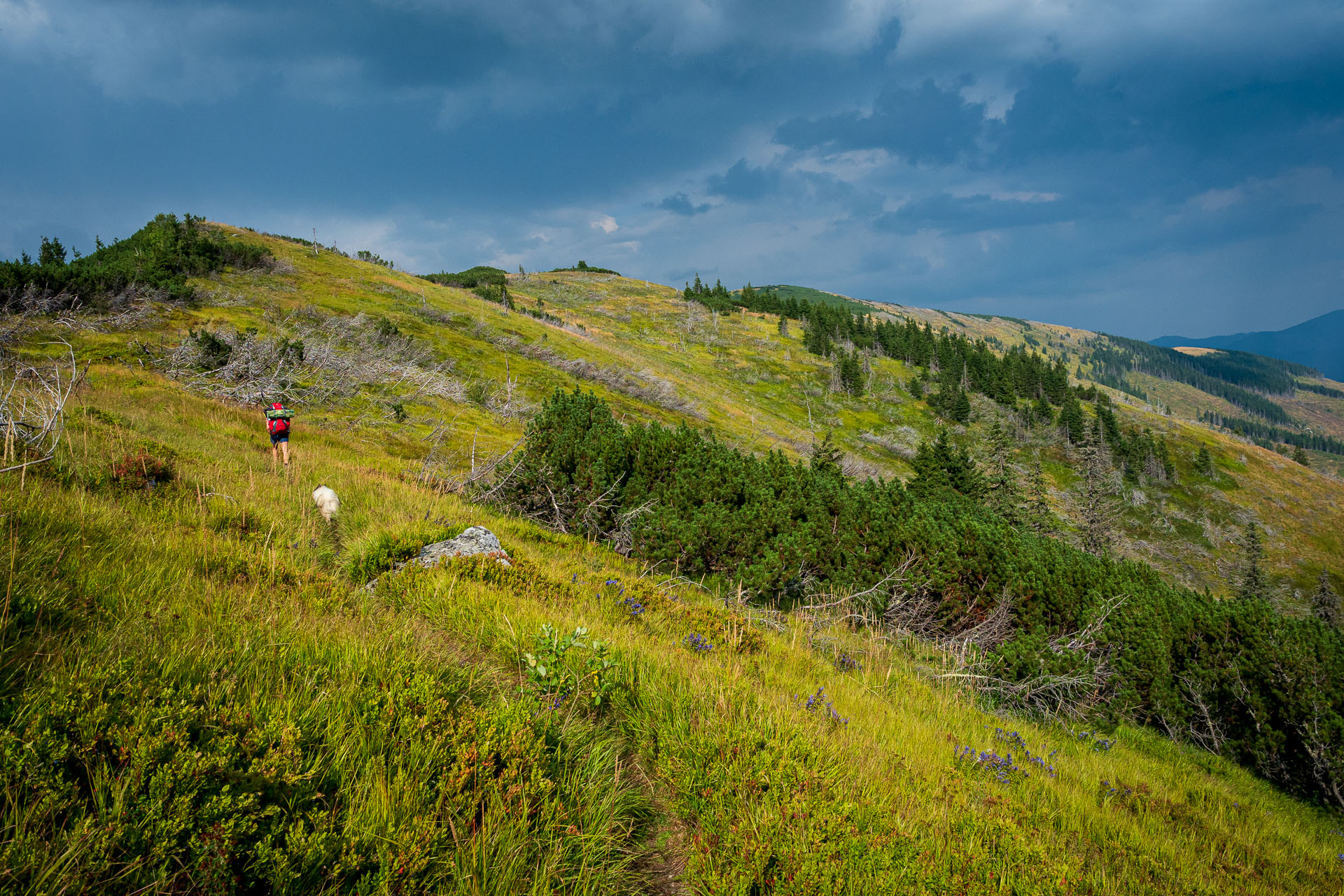 Rovná hoľa z Chaty gen. M. R. Štefánika (Nízke Tatry)