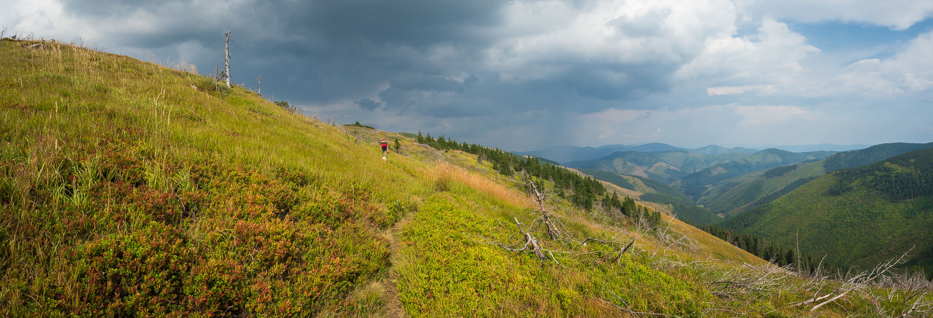 Rovná hoľa z Chaty gen. M. R. Štefánika (Nízke Tatry)