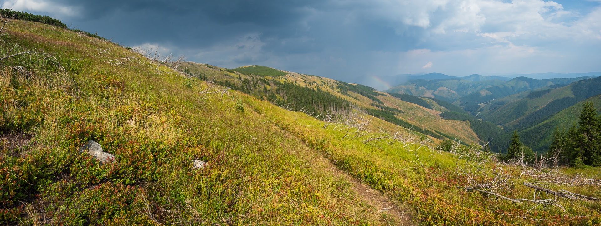 Rovná hoľa z Chaty gen. M. R. Štefánika (Nízke Tatry)