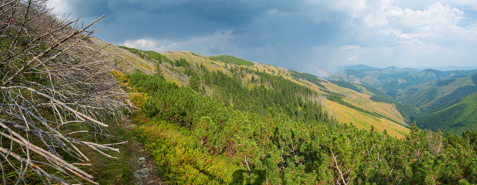 Rovná hoľa z Chaty gen. M. R. Štefánika (Nízke Tatry)