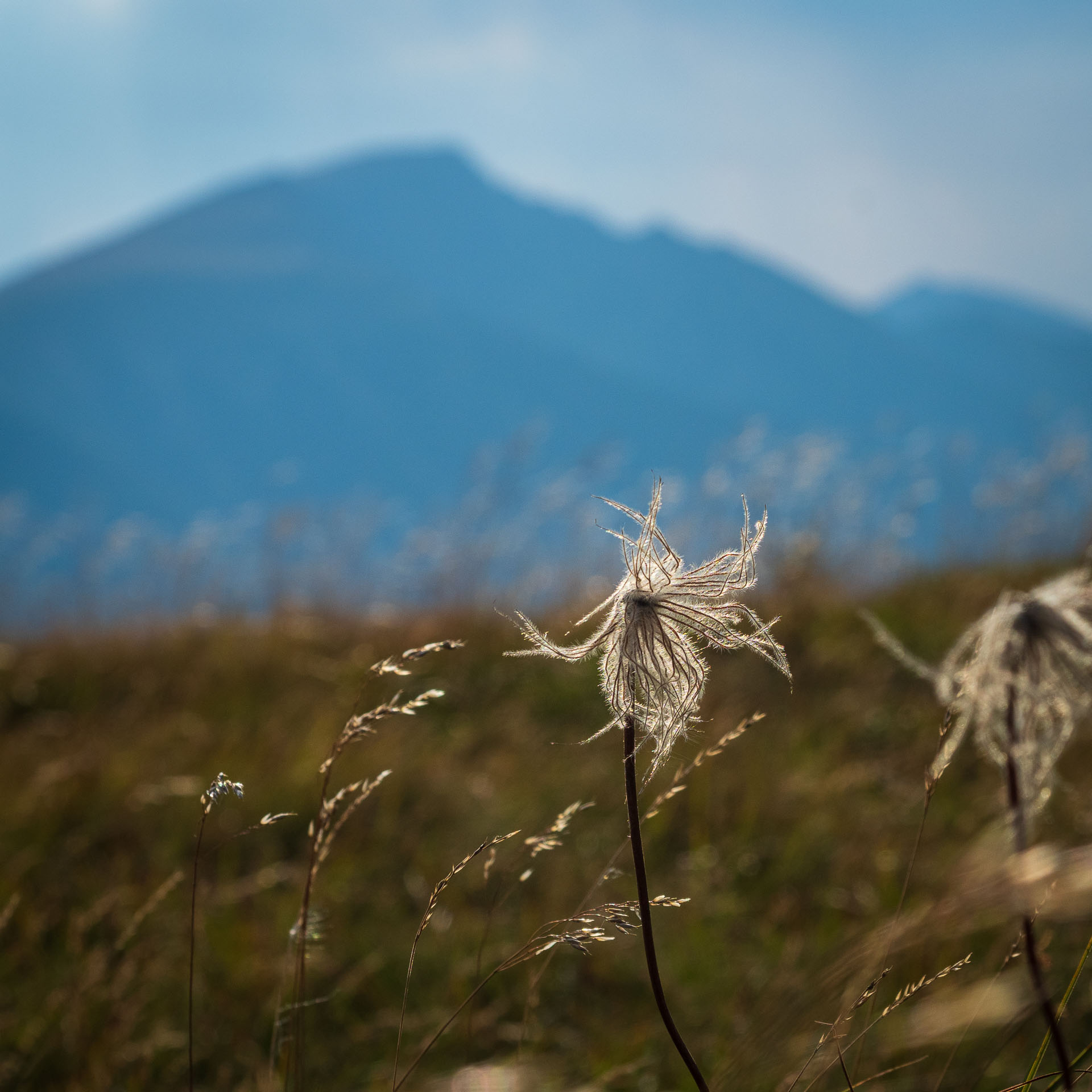 Rovná hoľa z Chaty gen. M. R. Štefánika (Nízke Tatry)