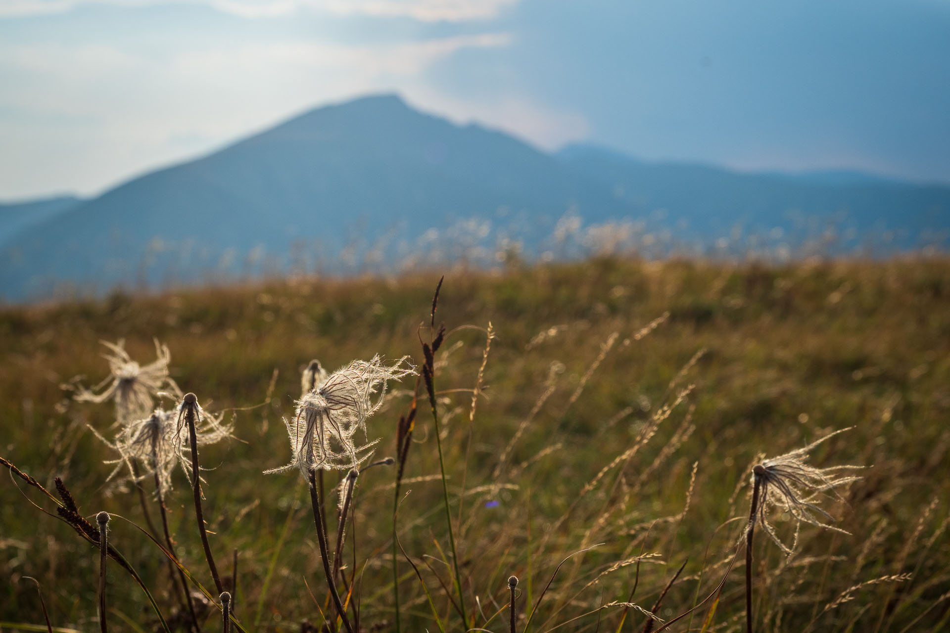 Rovná hoľa z Chaty gen. M. R. Štefánika (Nízke Tatry)