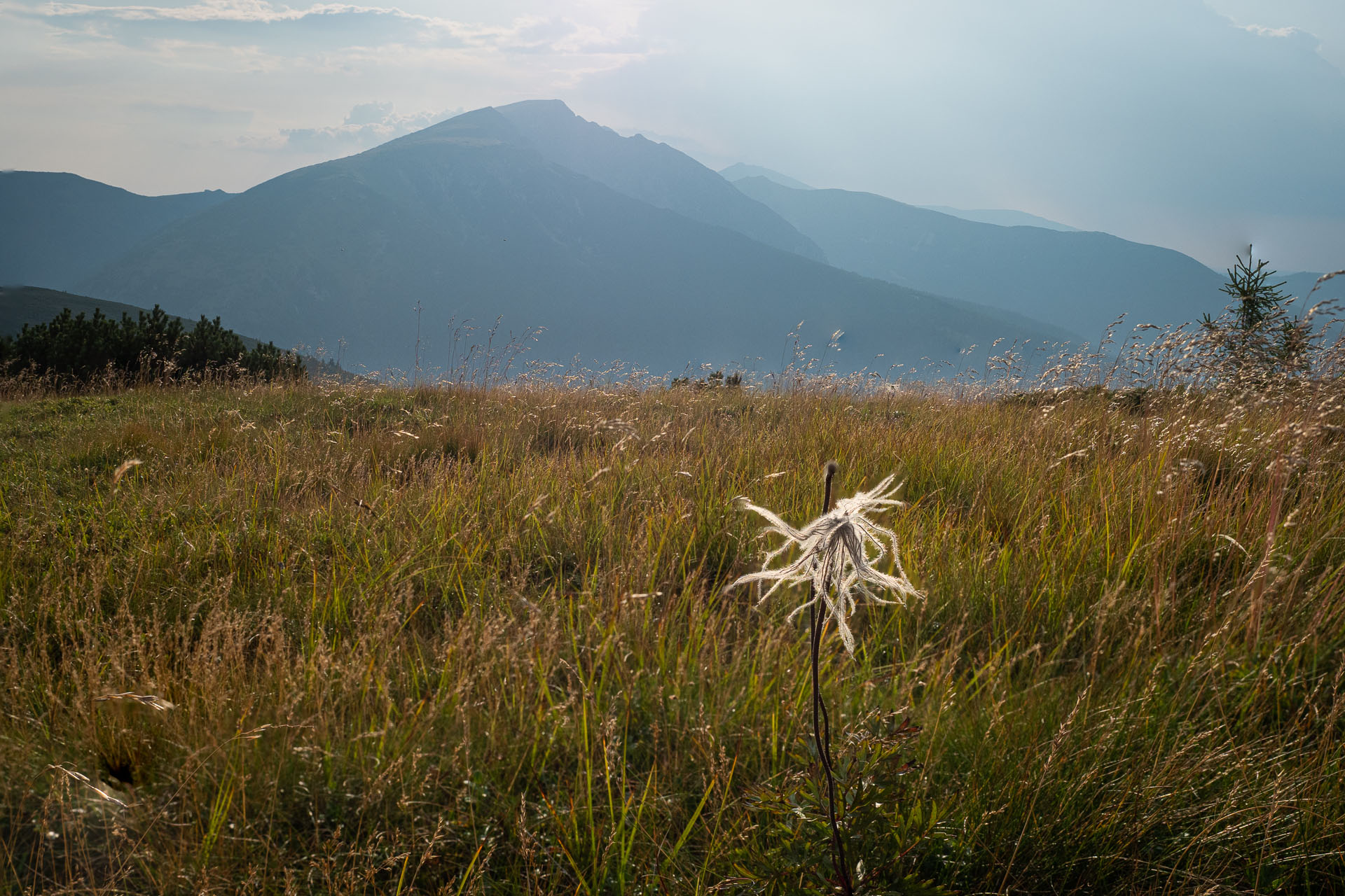 Rovná hoľa z Chaty gen. M. R. Štefánika (Nízke Tatry)