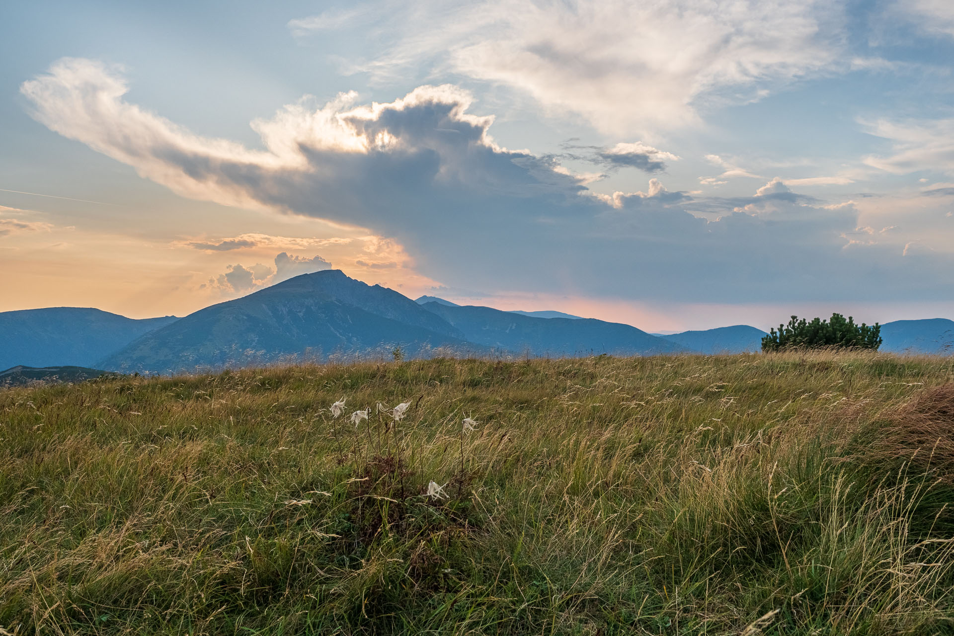 Rovná hoľa z Chaty gen. M. R. Štefánika (Nízke Tatry)