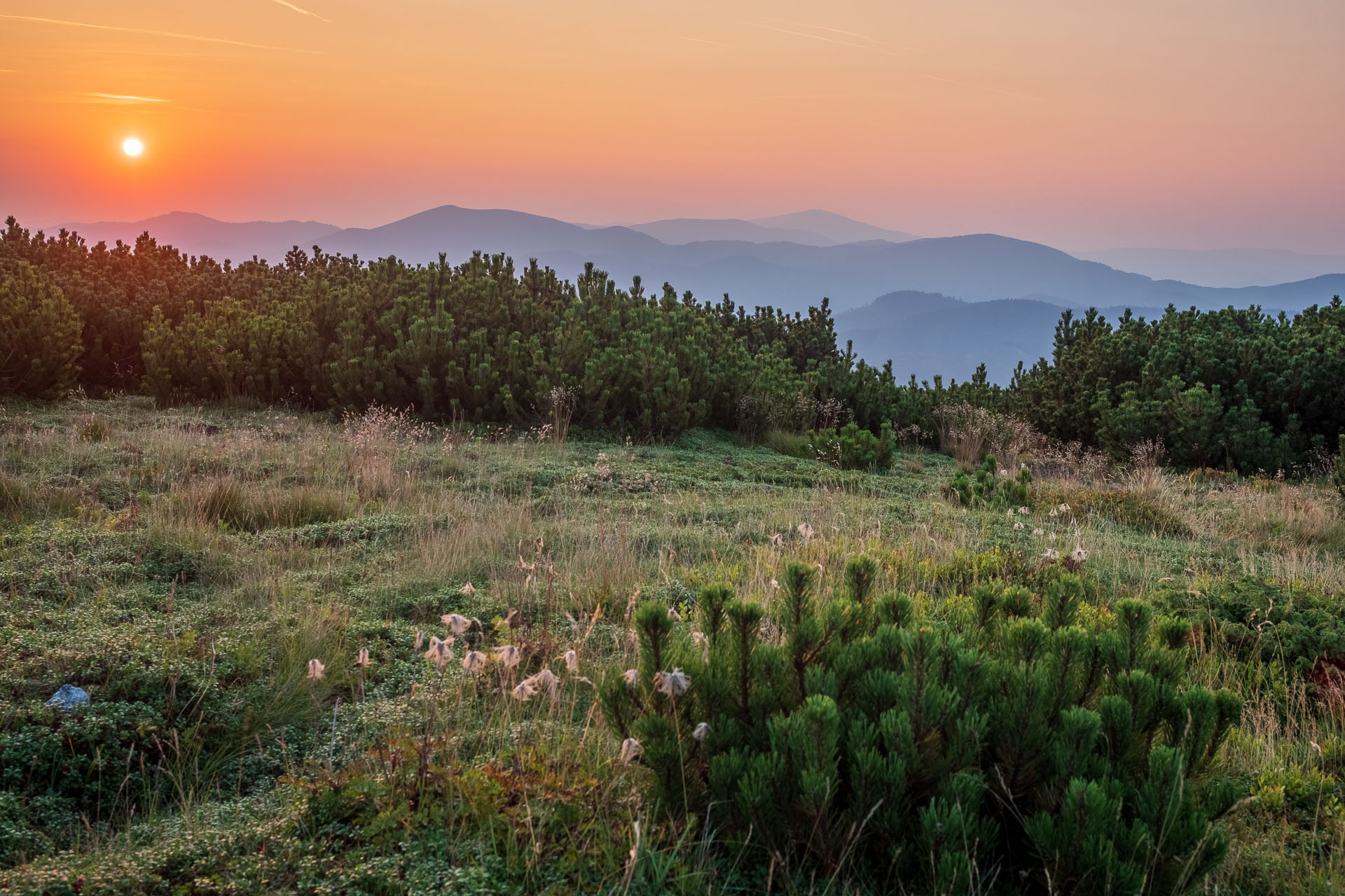 Rovná hoľa z Chaty gen. M. R. Štefánika (Nízke Tatry)