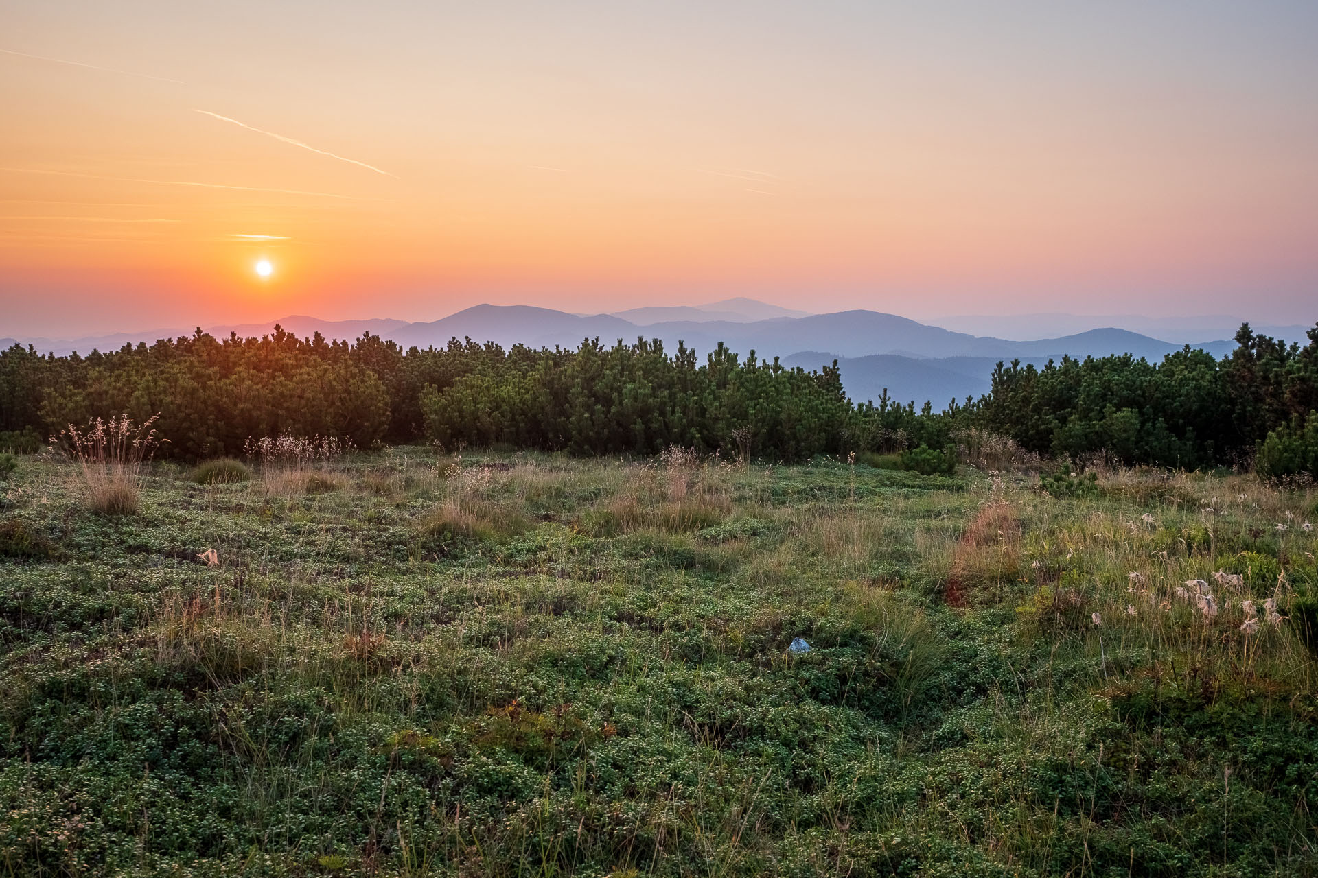 Rovná hoľa z Chaty gen. M. R. Štefánika (Nízke Tatry)