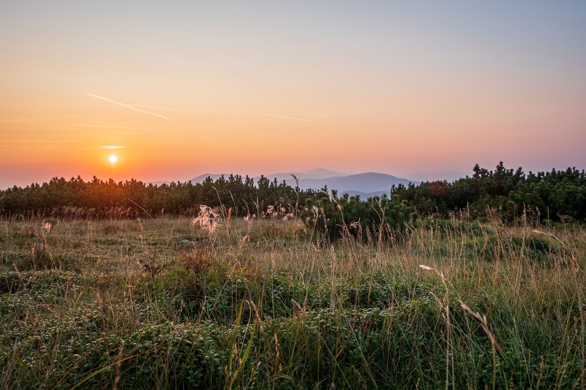 Rovná hoľa z Chaty gen. M. R. Štefánika (Nízke Tatry)