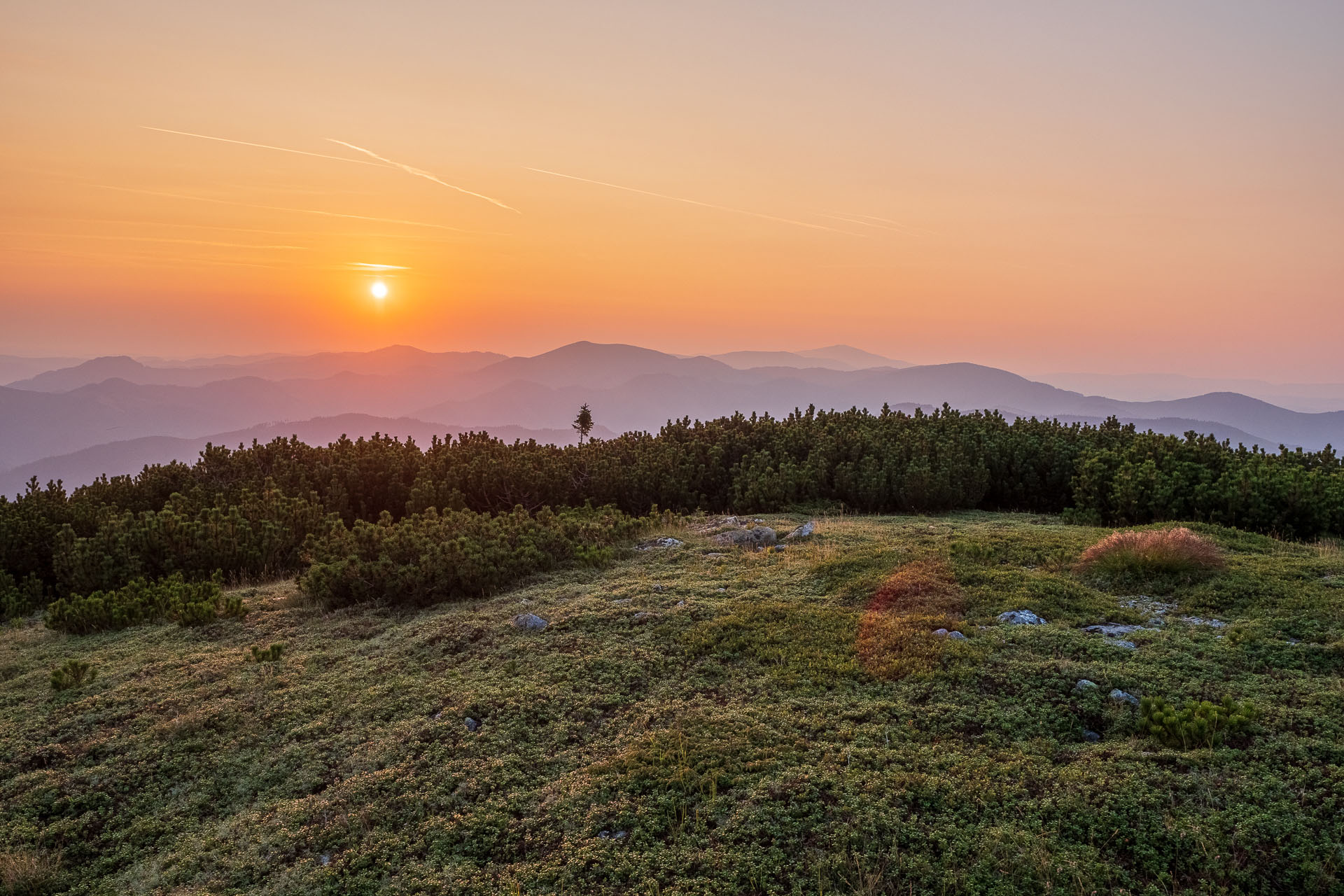 Rovná hoľa z Chaty gen. M. R. Štefánika (Nízke Tatry)