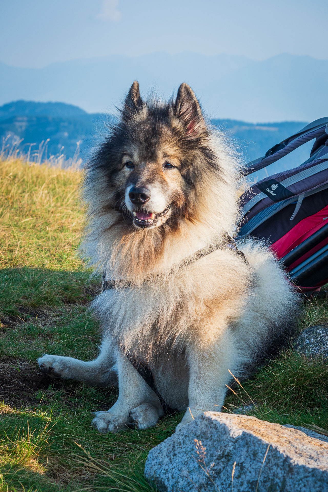 Rovná hoľa z Chaty gen. M. R. Štefánika (Nízke Tatry)