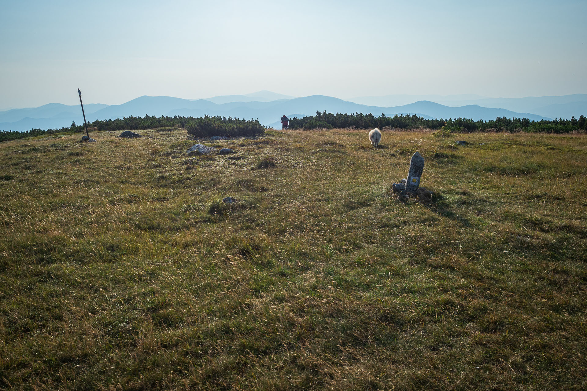 Rovná hoľa z Chaty gen. M. R. Štefánika (Nízke Tatry)