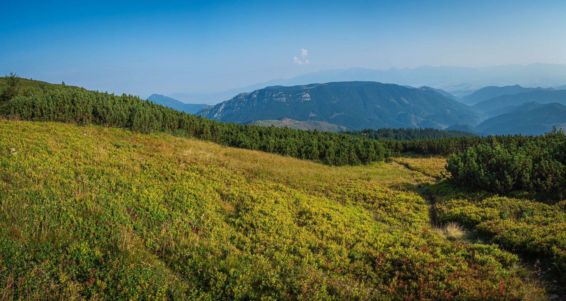 Rovná hoľa z Chaty gen. M. R. Štefánika (Nízke Tatry)