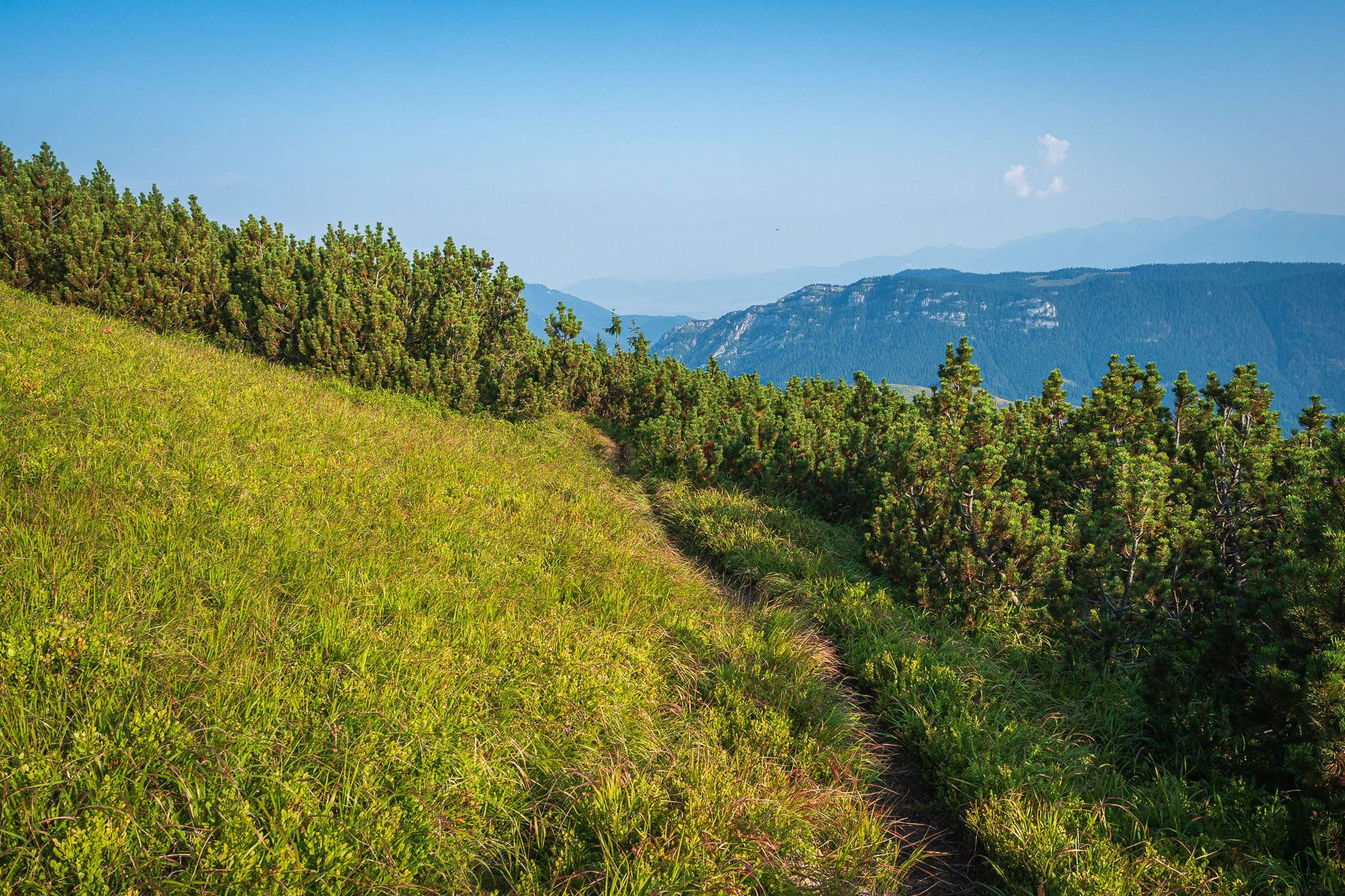 Rovná hoľa z Chaty gen. M. R. Štefánika (Nízke Tatry)