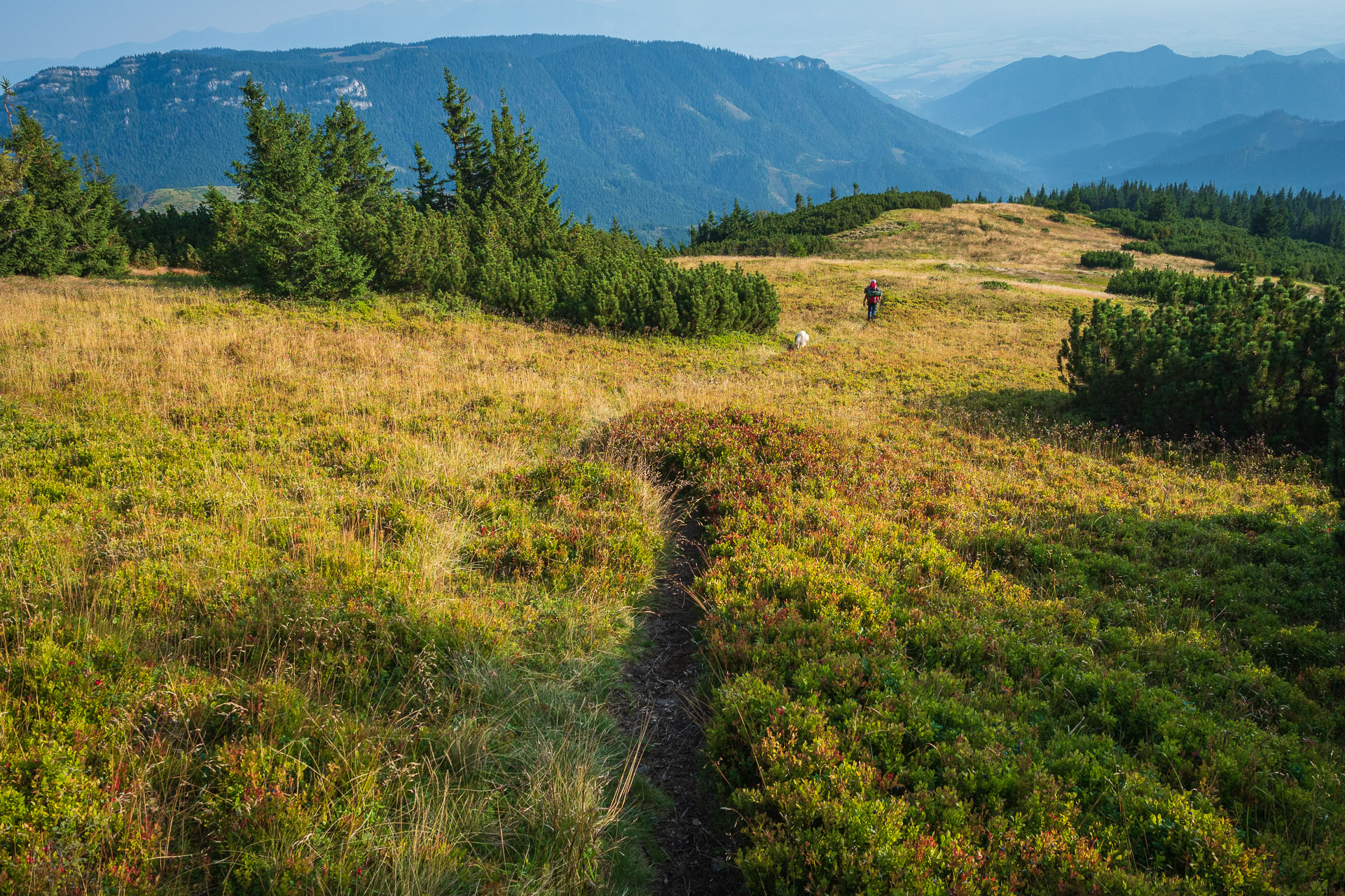 Rovná hoľa z Chaty gen. M. R. Štefánika (Nízke Tatry)