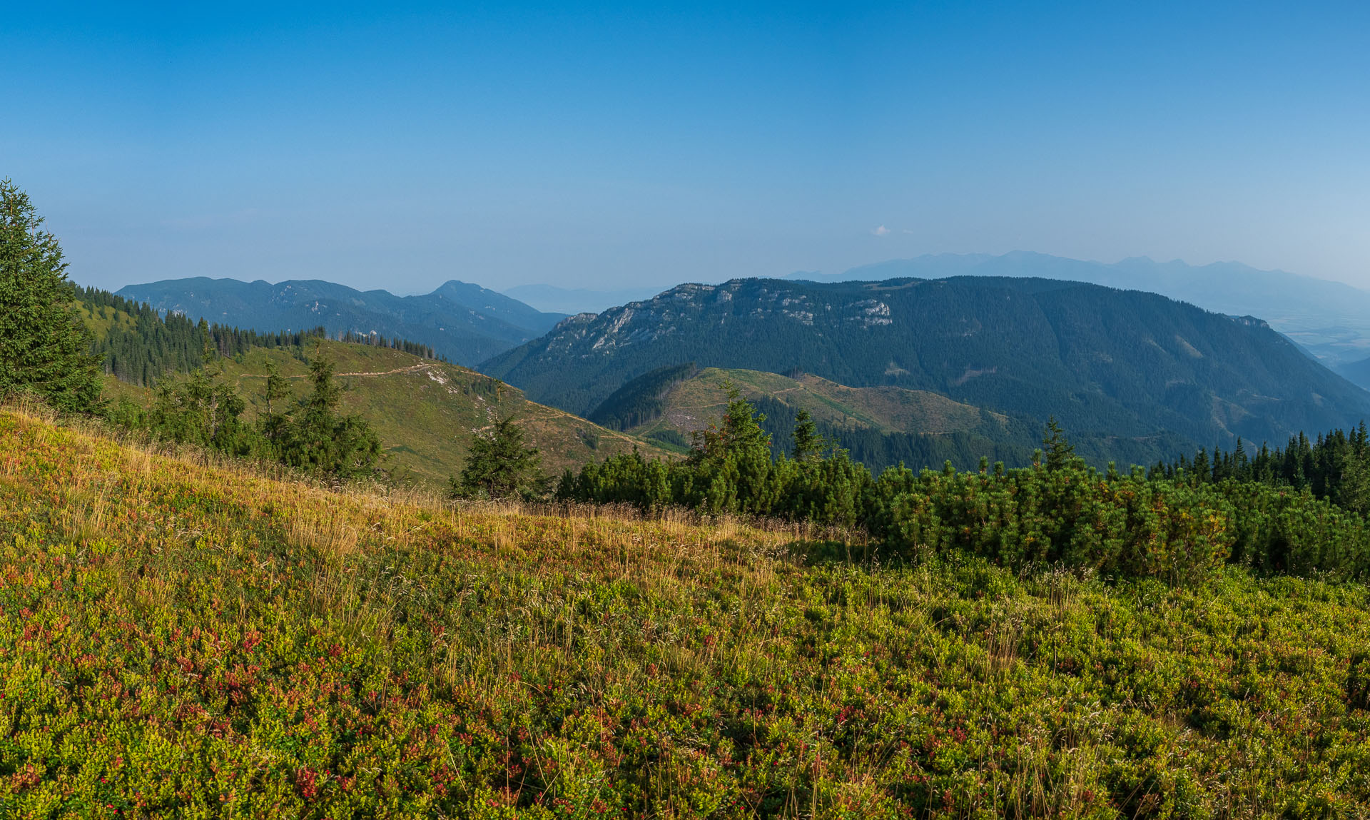 Rovná hoľa z Chaty gen. M. R. Štefánika (Nízke Tatry)