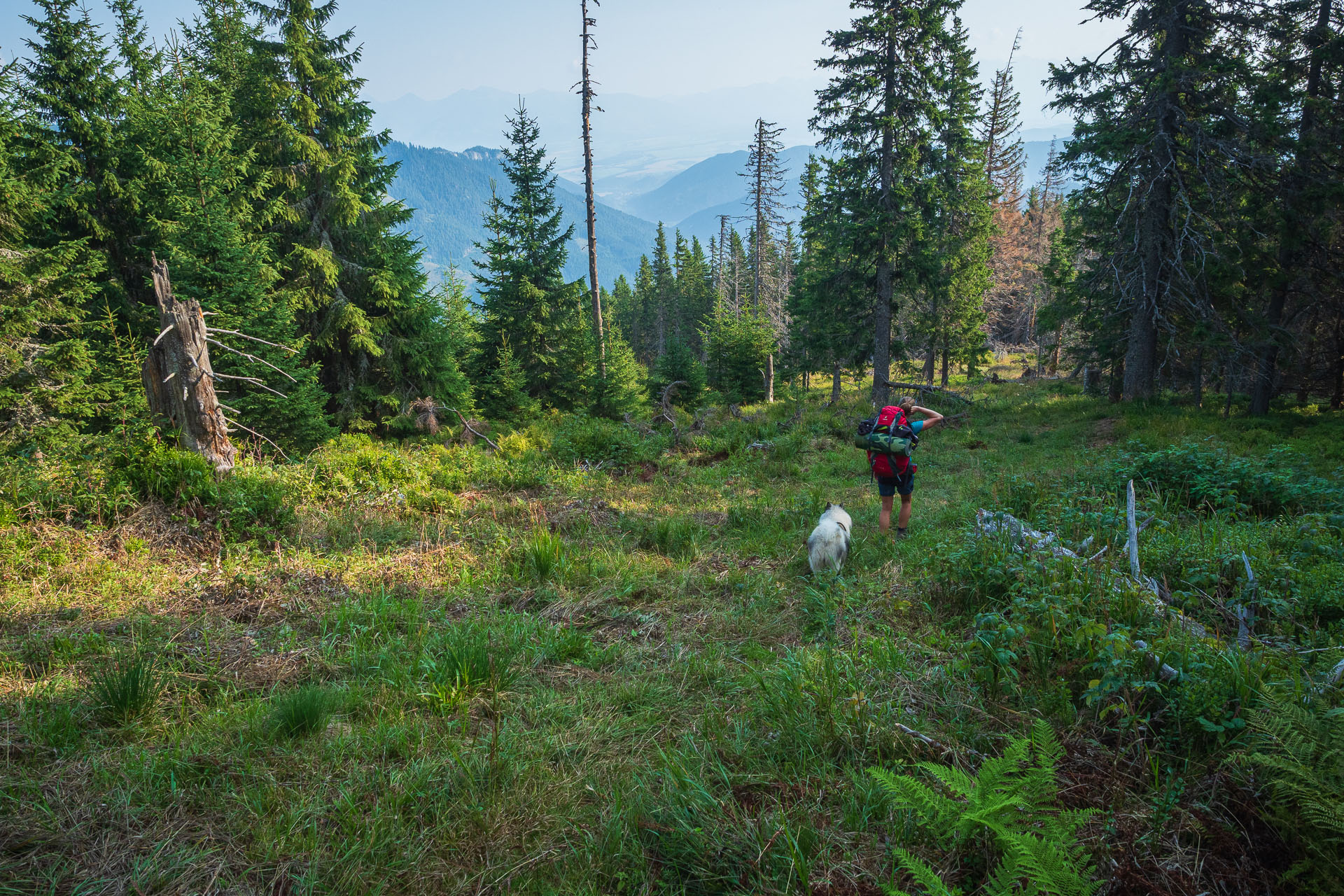 Rovná hoľa z Chaty gen. M. R. Štefánika (Nízke Tatry)