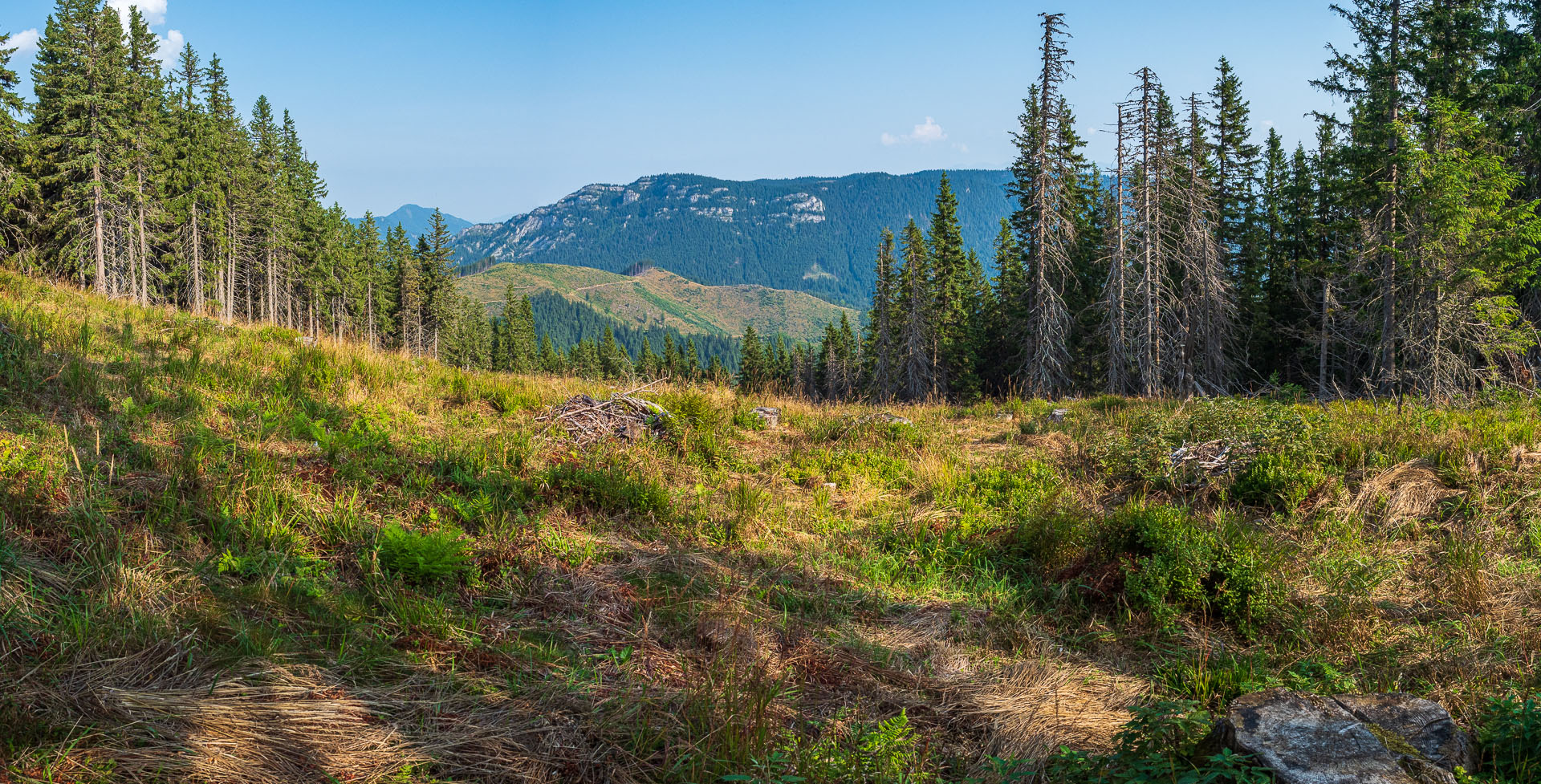 Rovná hoľa z Chaty gen. M. R. Štefánika (Nízke Tatry)