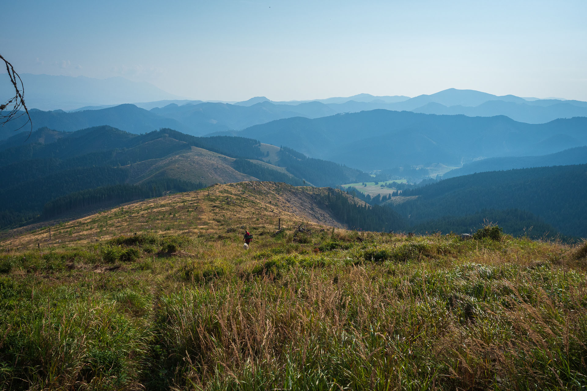 Rovná hoľa z Chaty gen. M. R. Štefánika (Nízke Tatry)