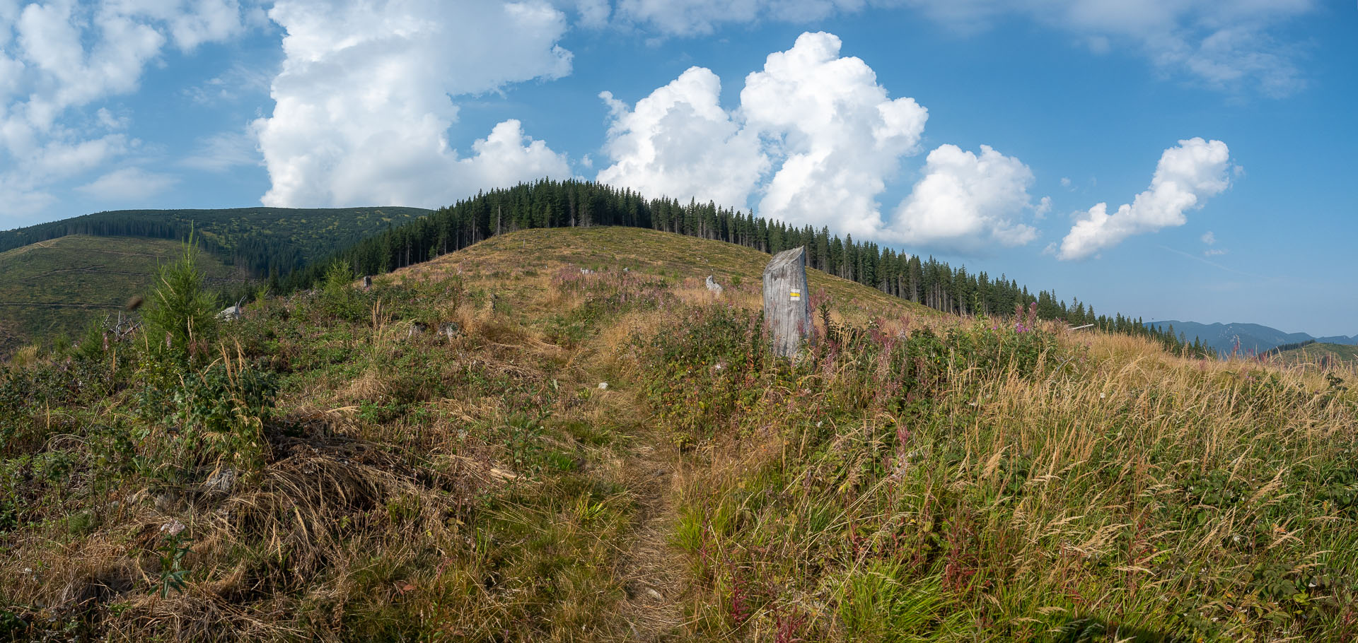 Rovná hoľa z Chaty gen. M. R. Štefánika (Nízke Tatry)