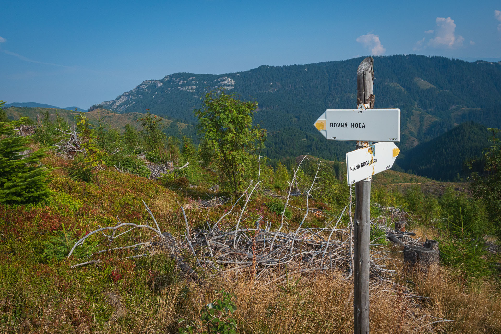 Rovná hoľa z Chaty gen. M. R. Štefánika (Nízke Tatry)