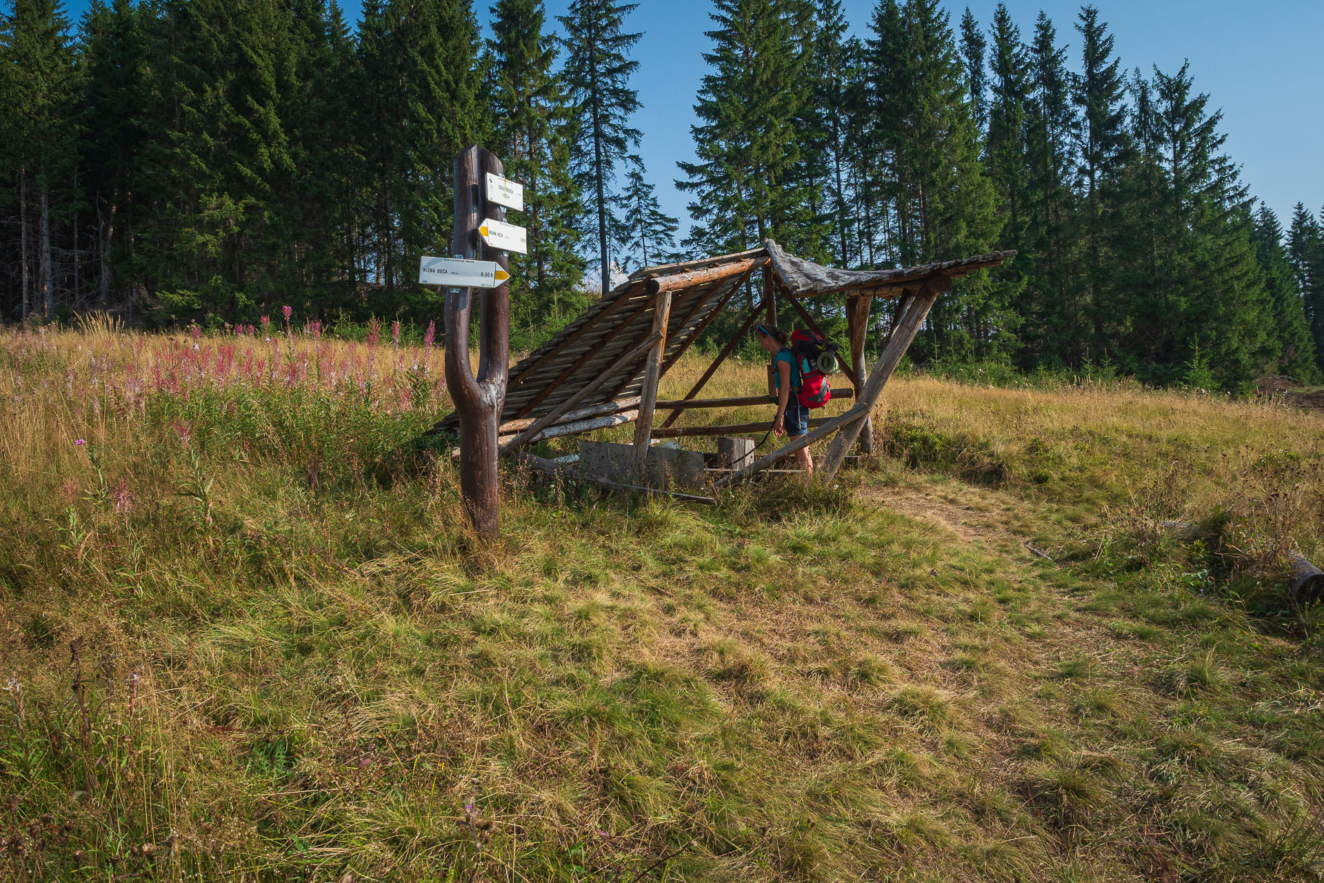 Rovná hoľa z Chaty gen. M. R. Štefánika (Nízke Tatry)