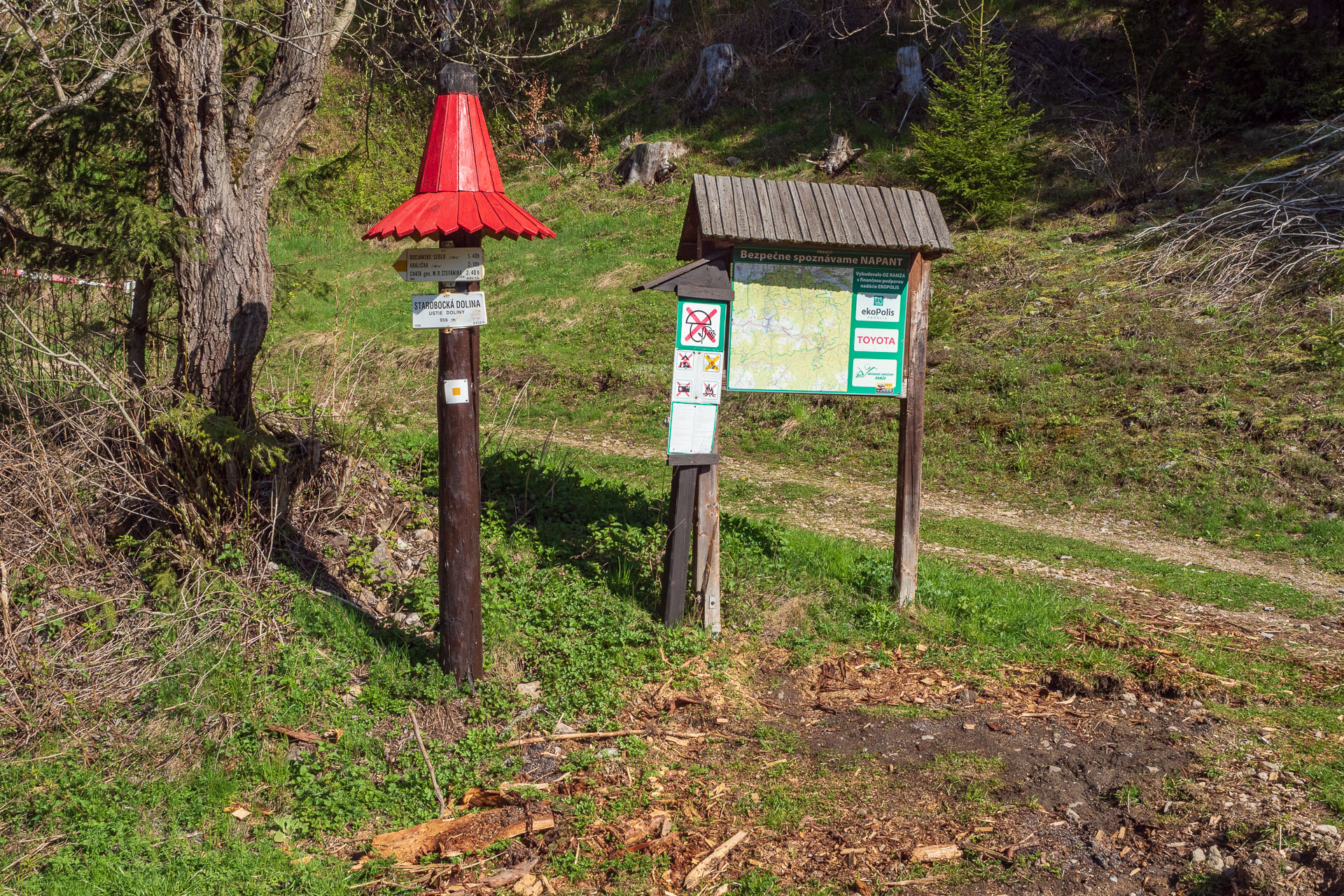 Rovná hoľa z Vyšnej Boce (Nízke Tatry)