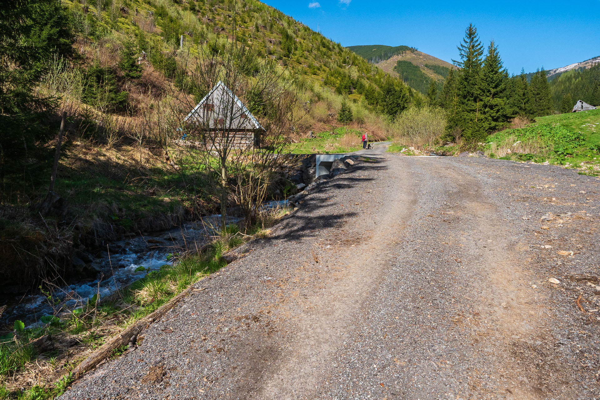 Rovná hoľa z Vyšnej Boce (Nízke Tatry)