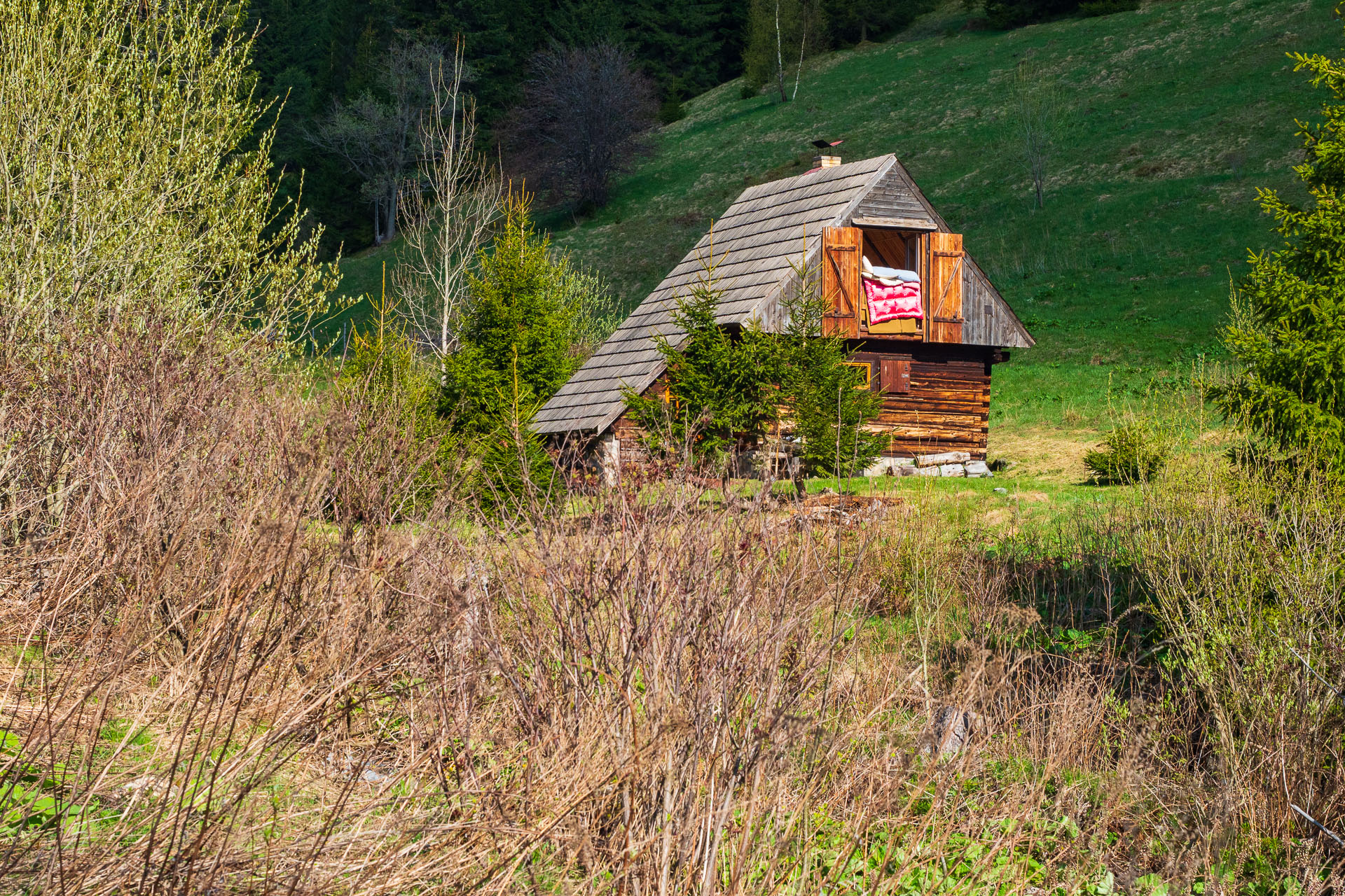 Rovná hoľa z Vyšnej Boce (Nízke Tatry)