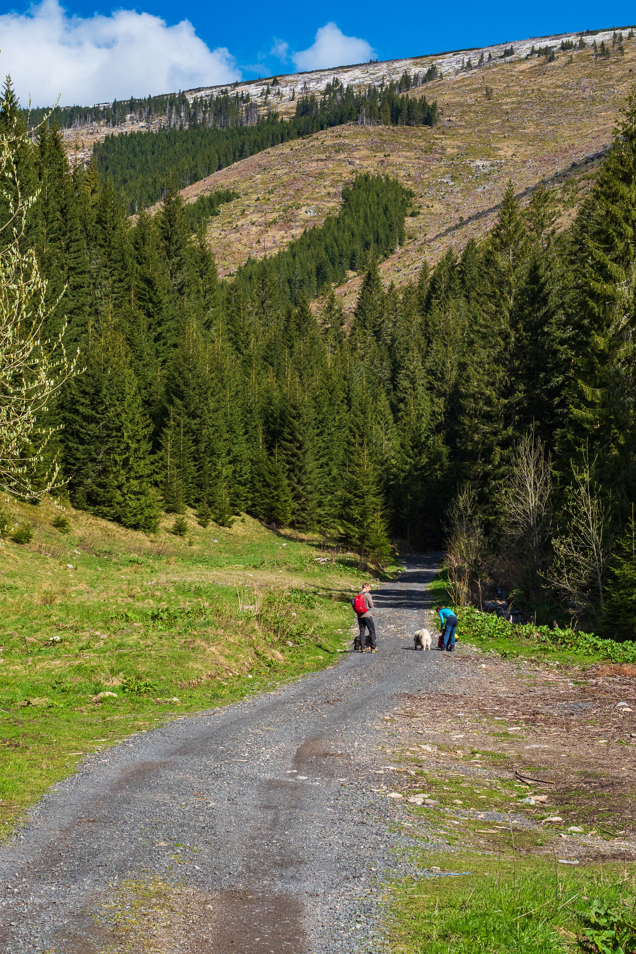 Rovná hoľa z Vyšnej Boce (Nízke Tatry)