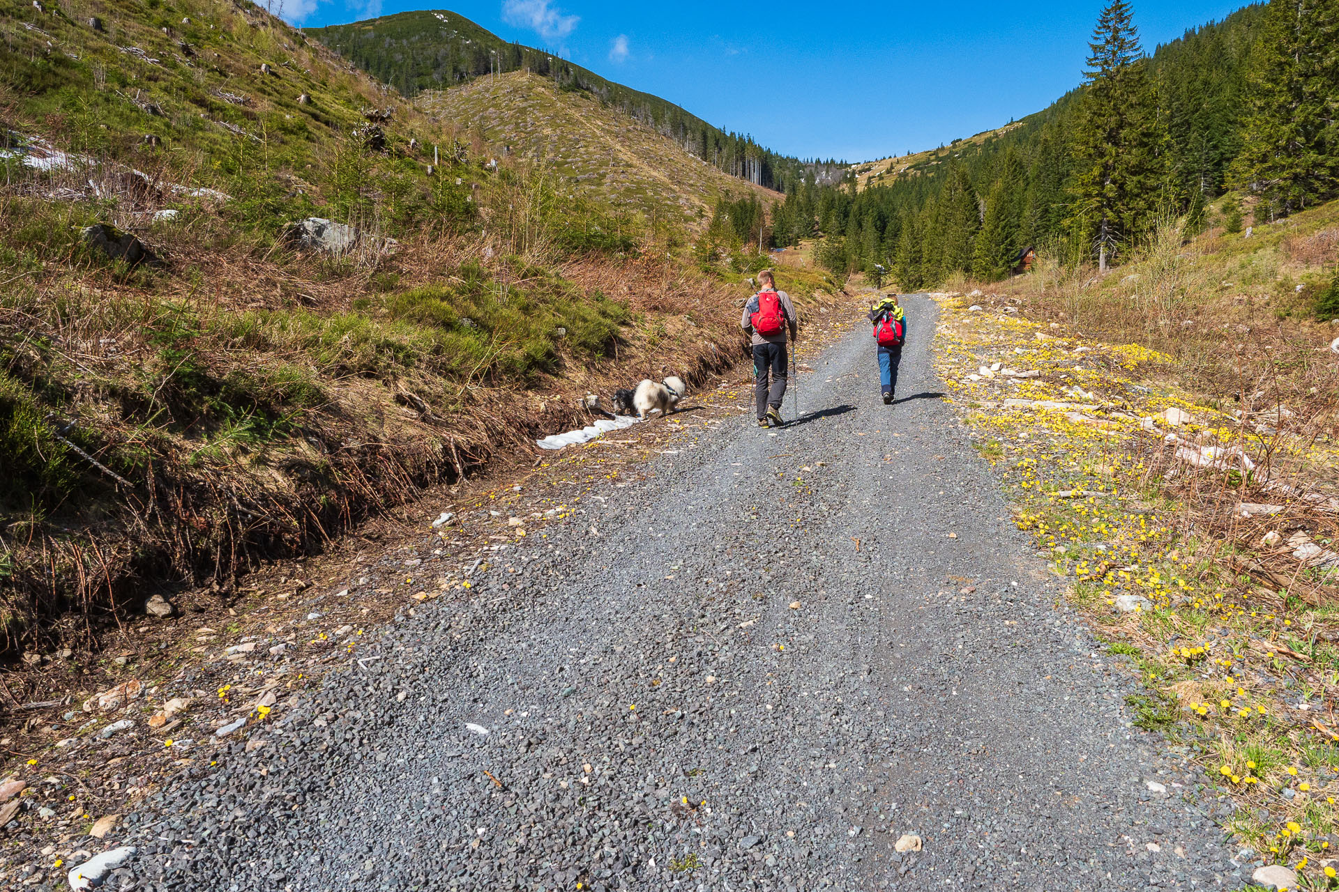 Rovná hoľa z Vyšnej Boce (Nízke Tatry)